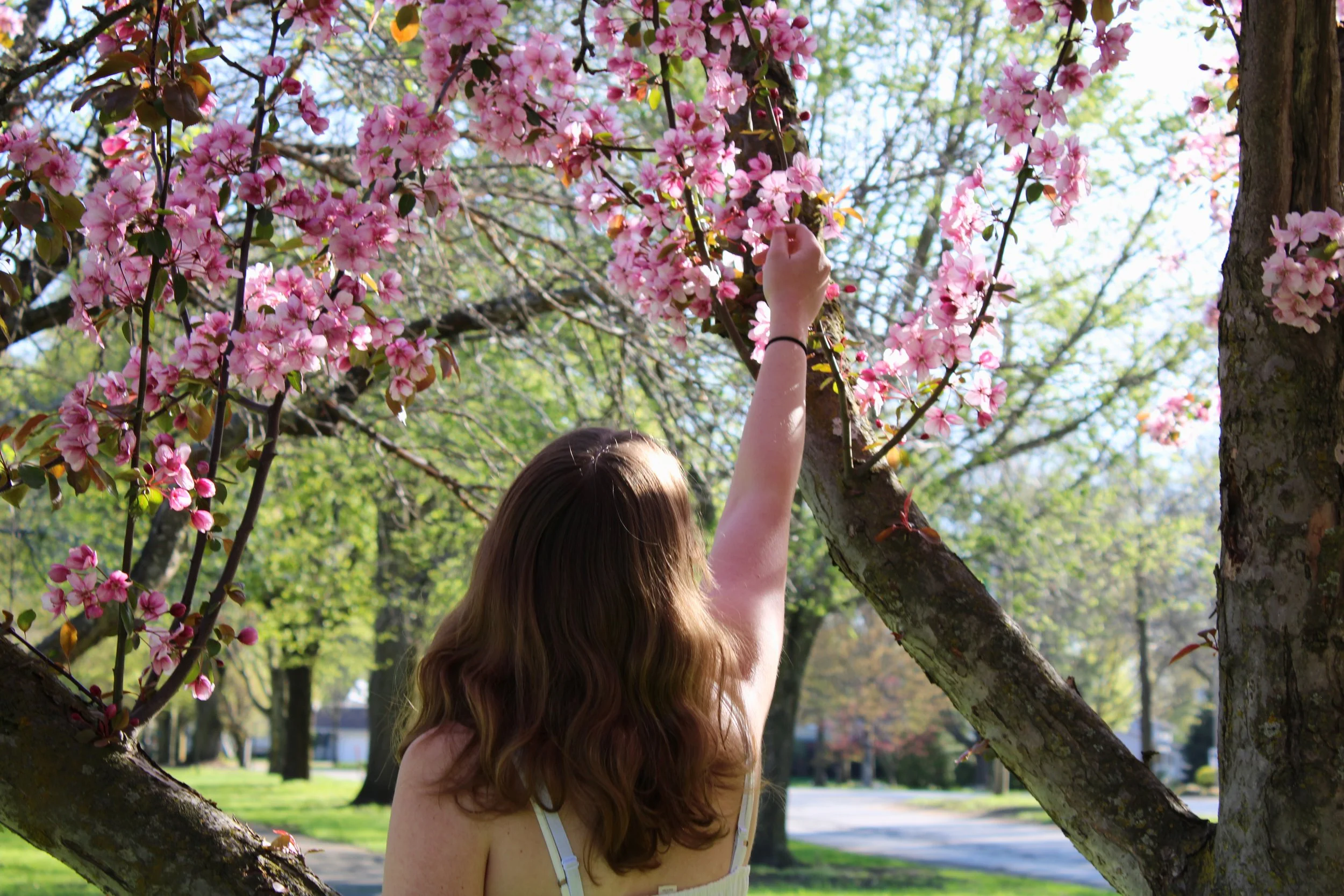 A person with long hair standing outdoors during spring, reaching to touch pink blossoms on a tree.