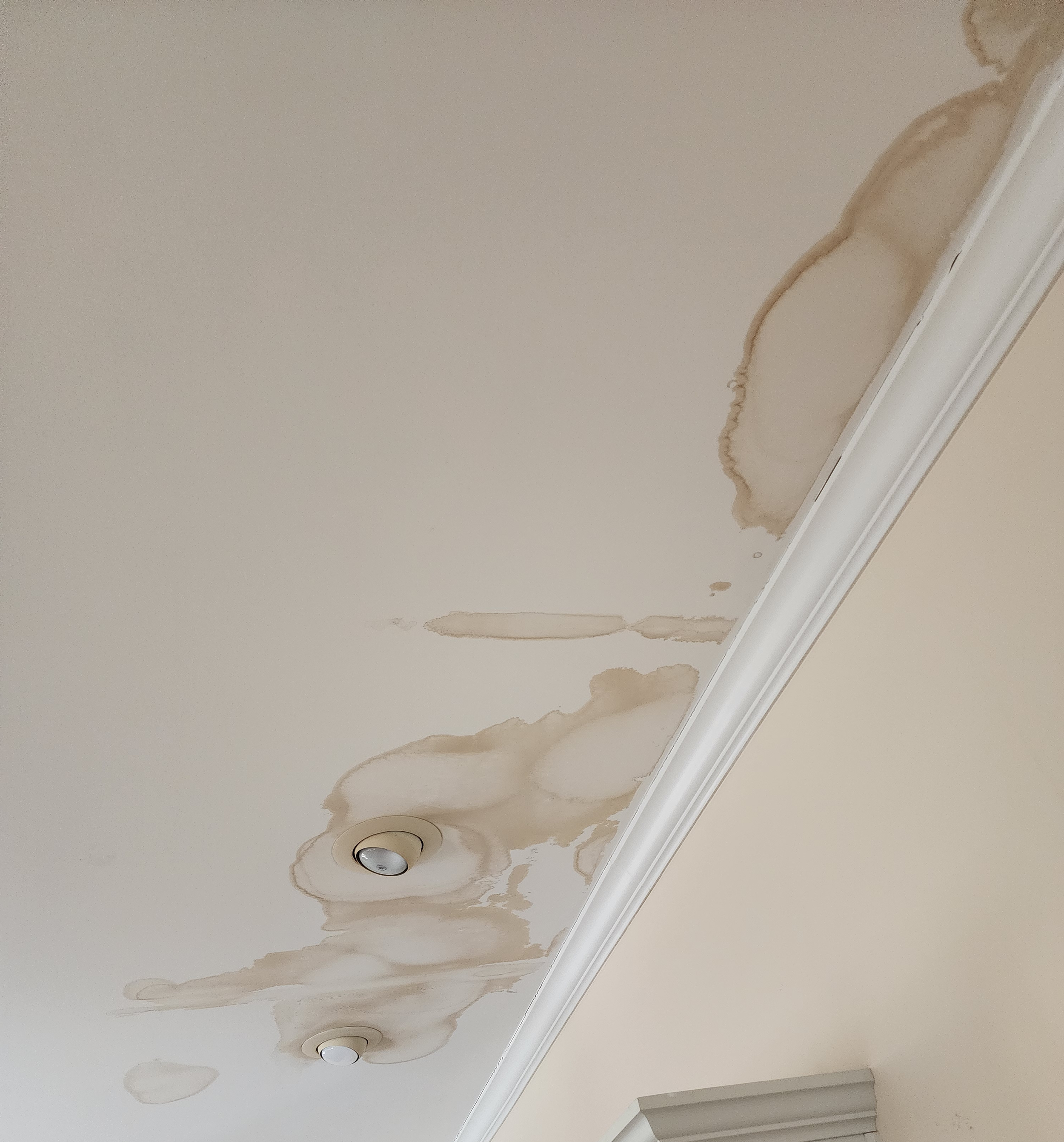 roof leak signs on ceiling