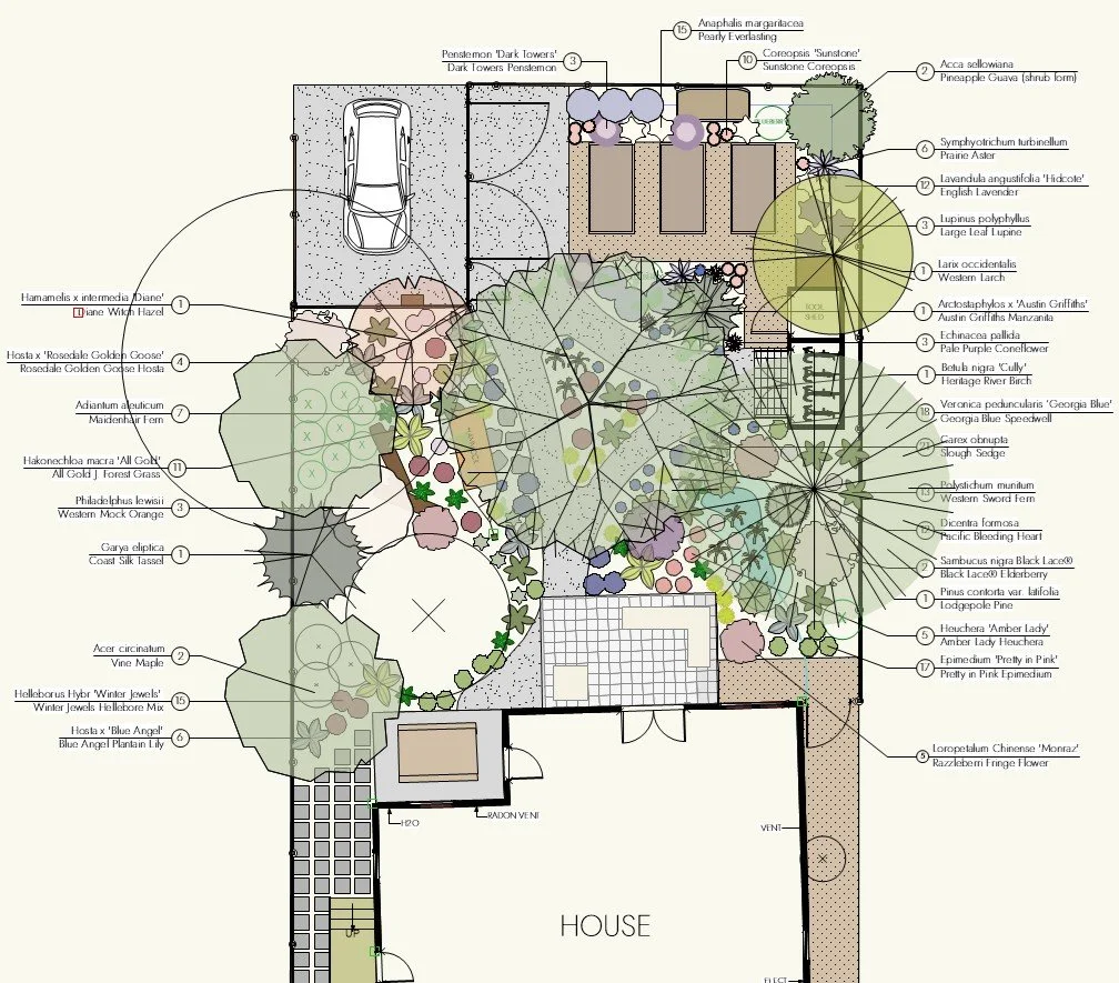 Detailed garden landscape plan with various plants, trees, and garden features labeled with botanical names and descriptions.