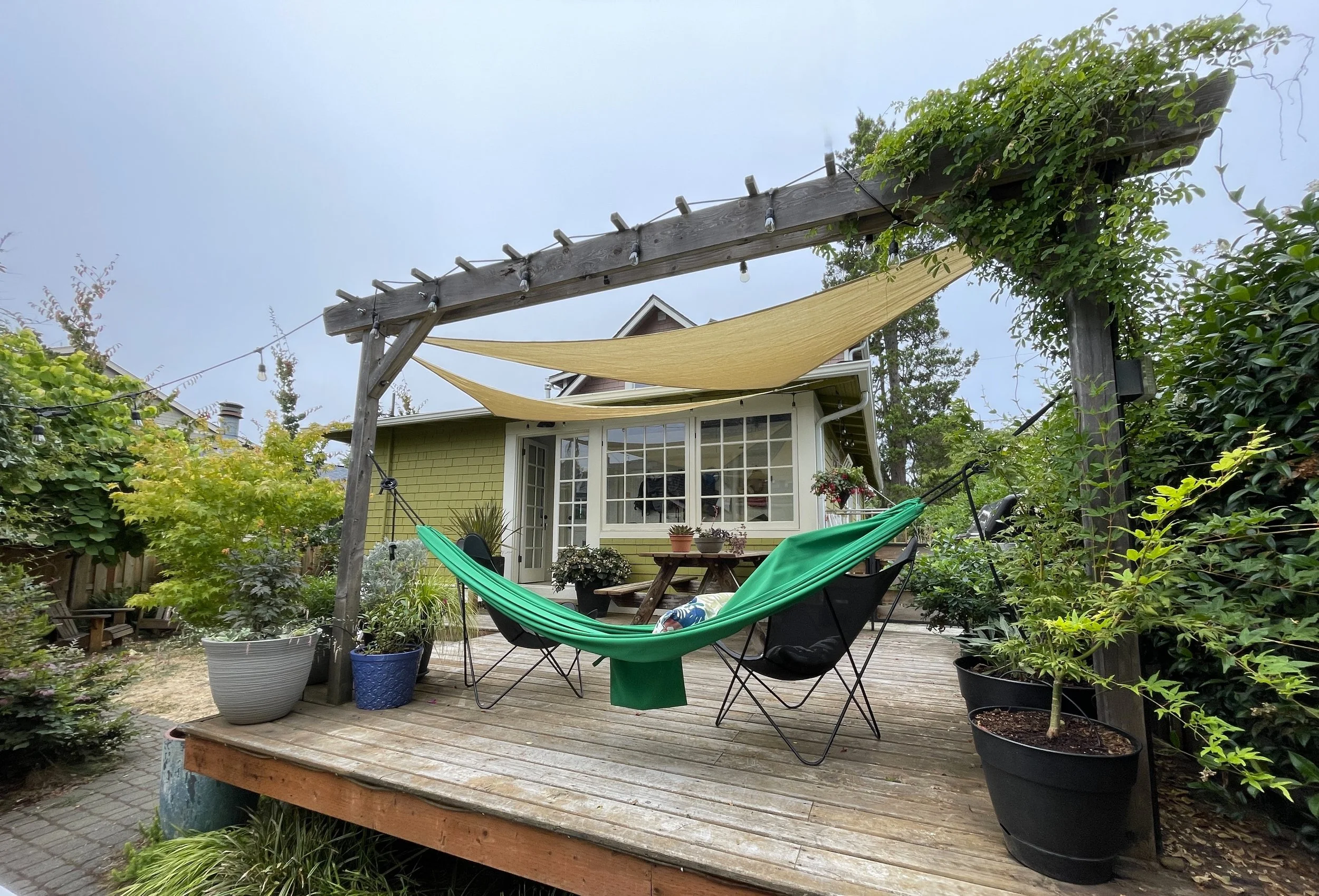 Backyard patio with green house, potted trees, hammock, tables, and hanging lights.