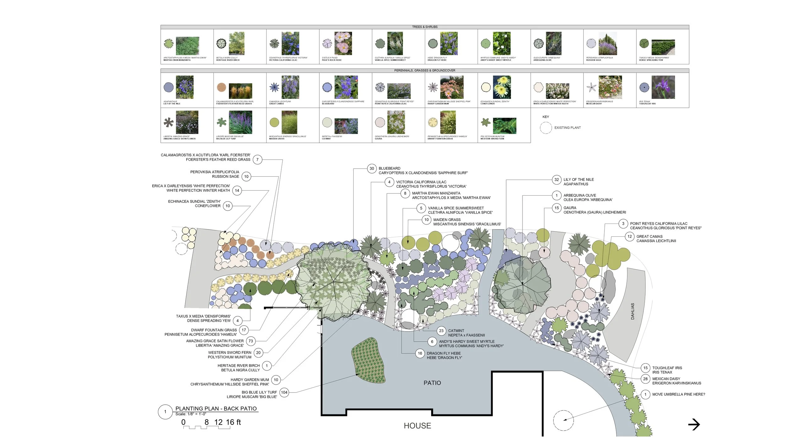 A detailed landscape design plan featuring various plants, trees, shrubs, and ground cover with labels and a color-coded key for different plant types.