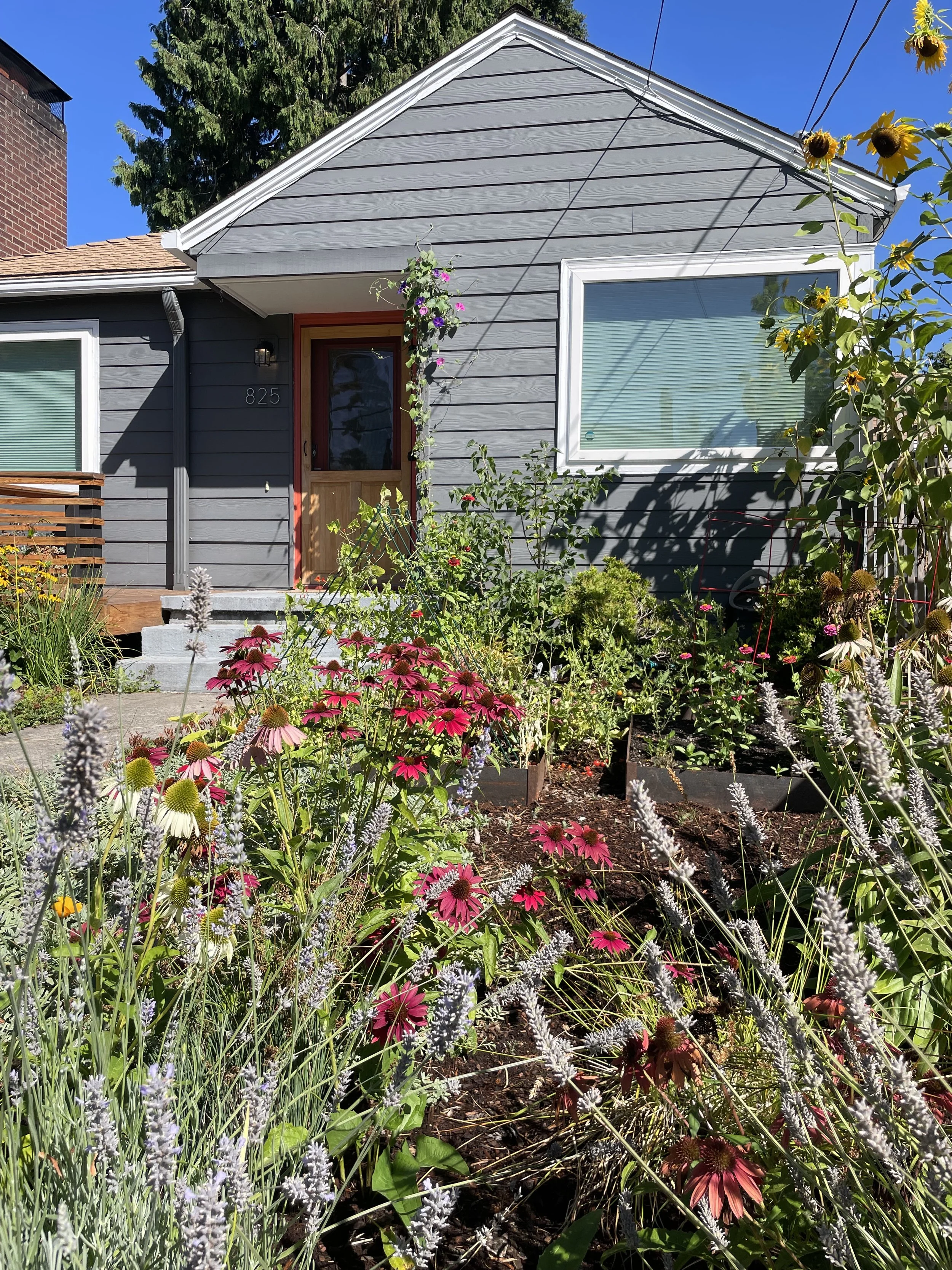 House with gray siding, a window, a door with a wooden frame, and a small garden with various colorful flowers in front. Sunflowers are visible on the right side, and a tall tree is in the background. The sky is clear and blue.