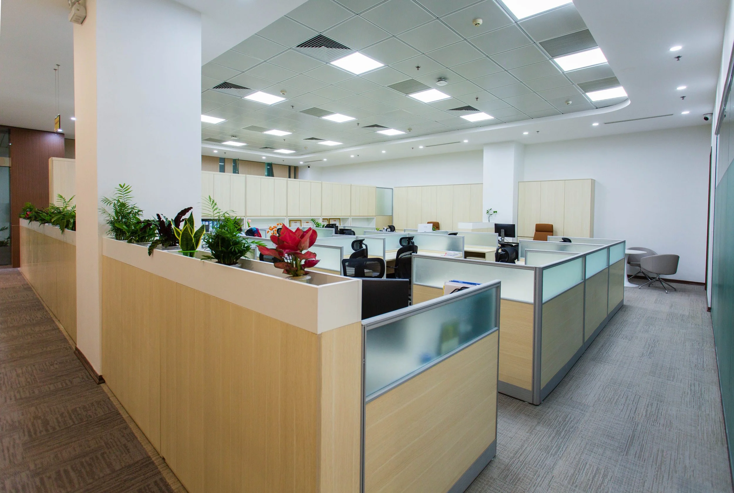 Empty office workspace with cubicles, chairs, plants, and overhead fluorescent lighting.