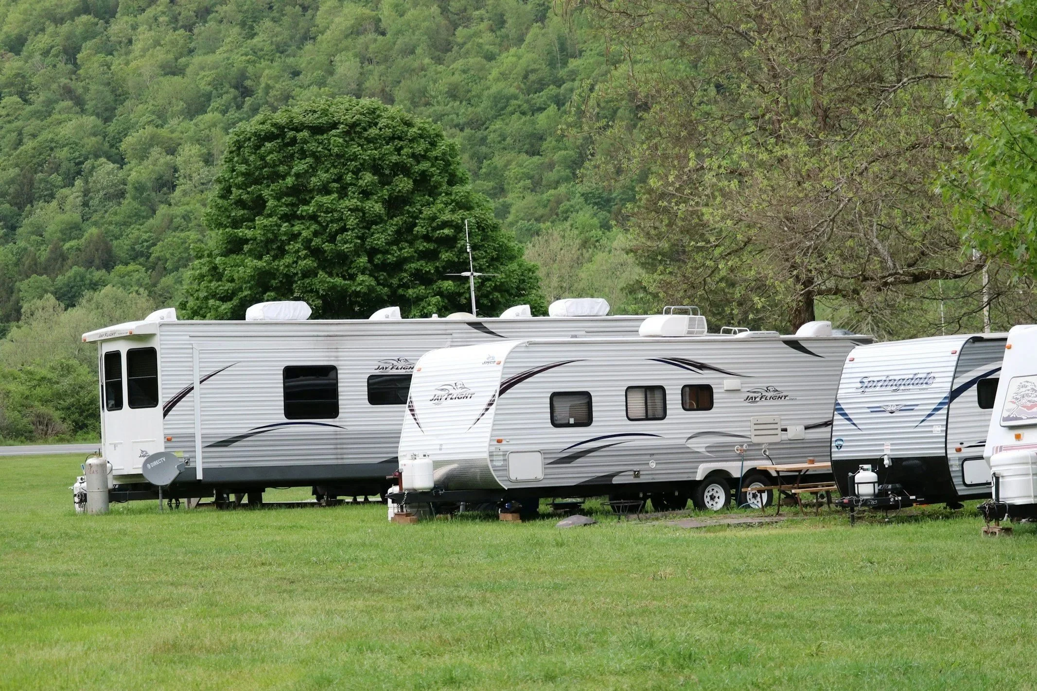 Multiple white travel trailers parked on green grass with lush green trees and hills in the background.