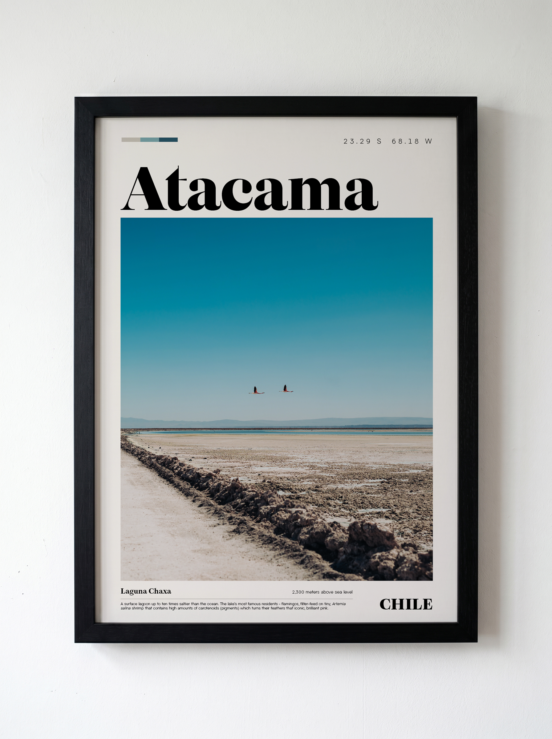 Laguna Chaxa 3_Atacama Edition.png
