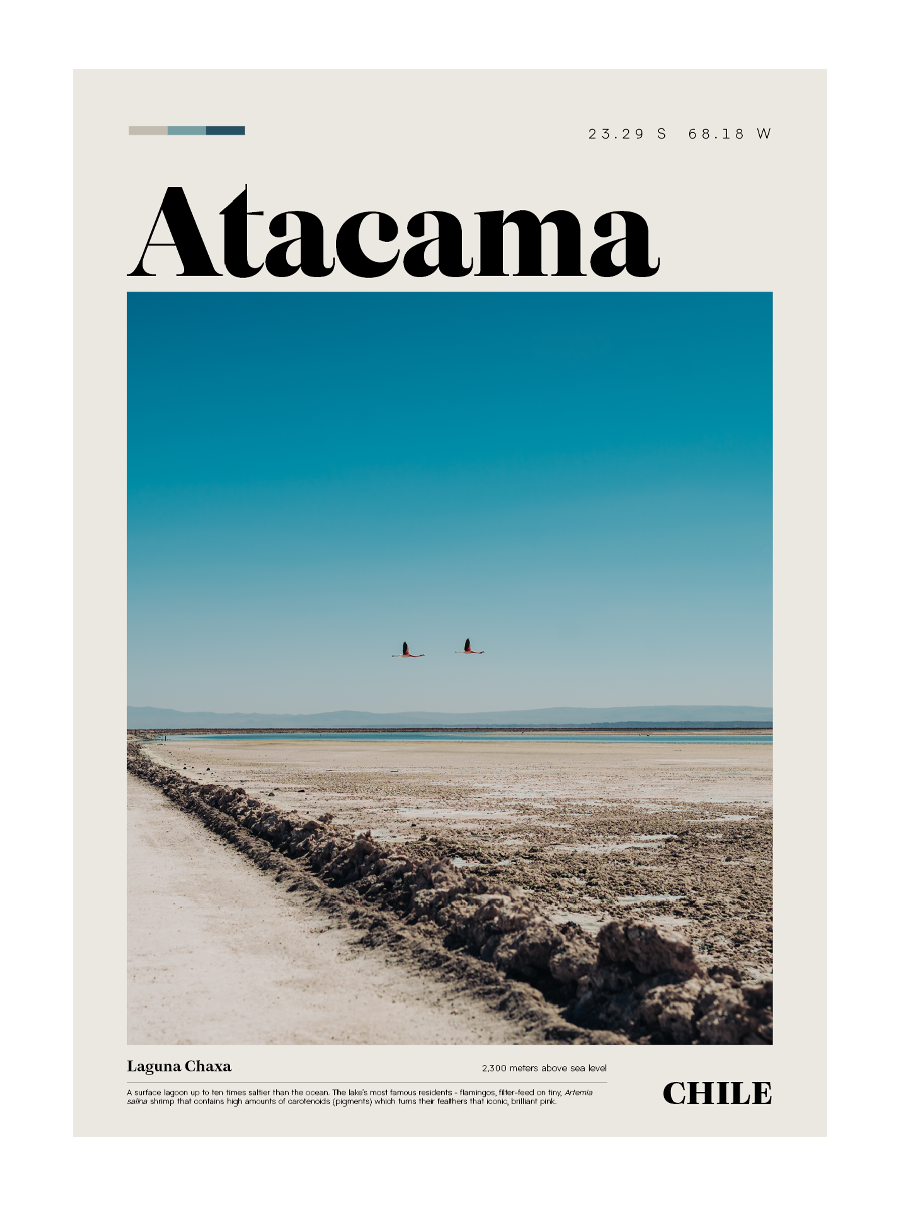 posters_atacama_chile16.png