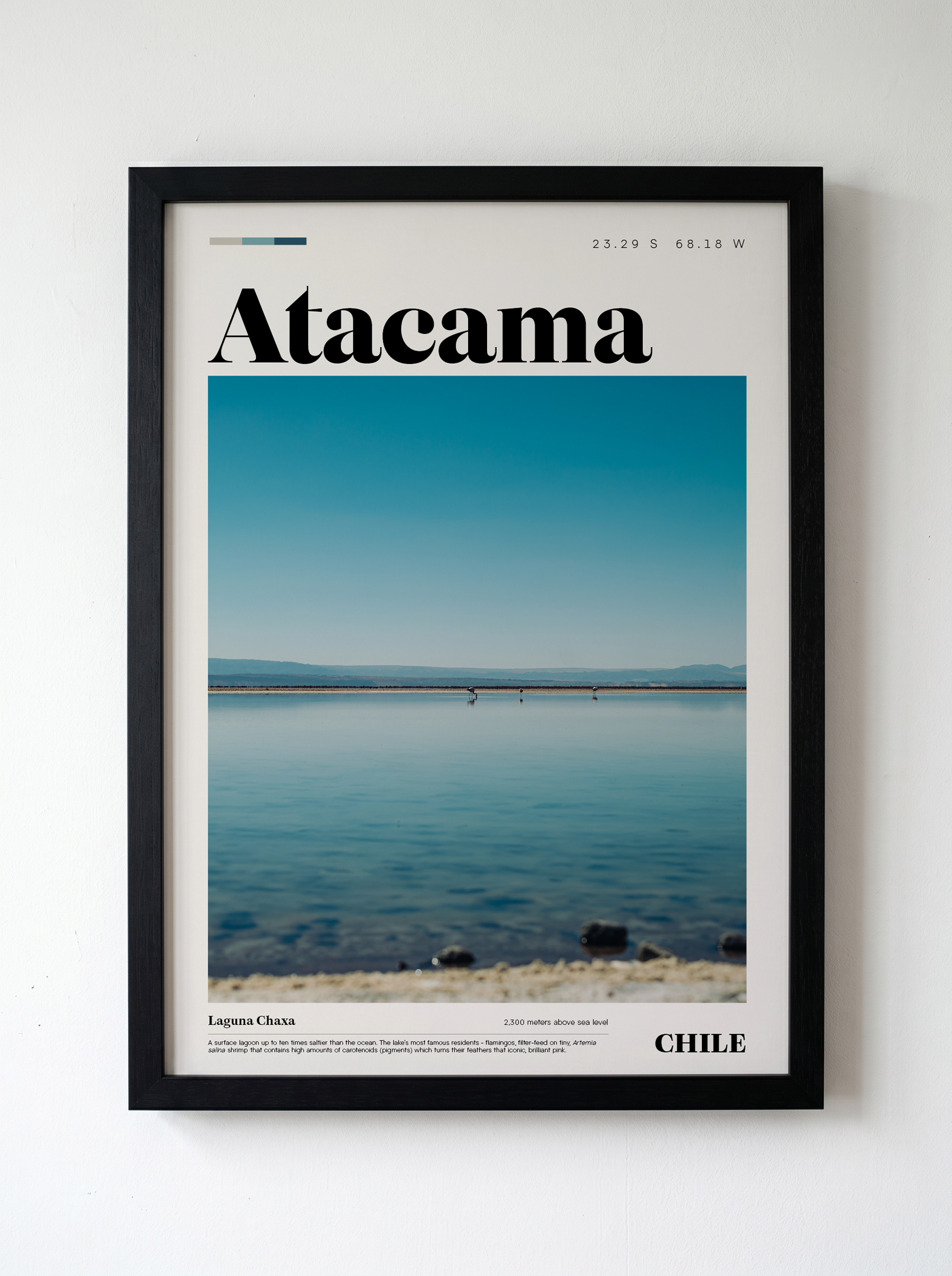 Laguna Chaxa 2_Atacama Edition.png