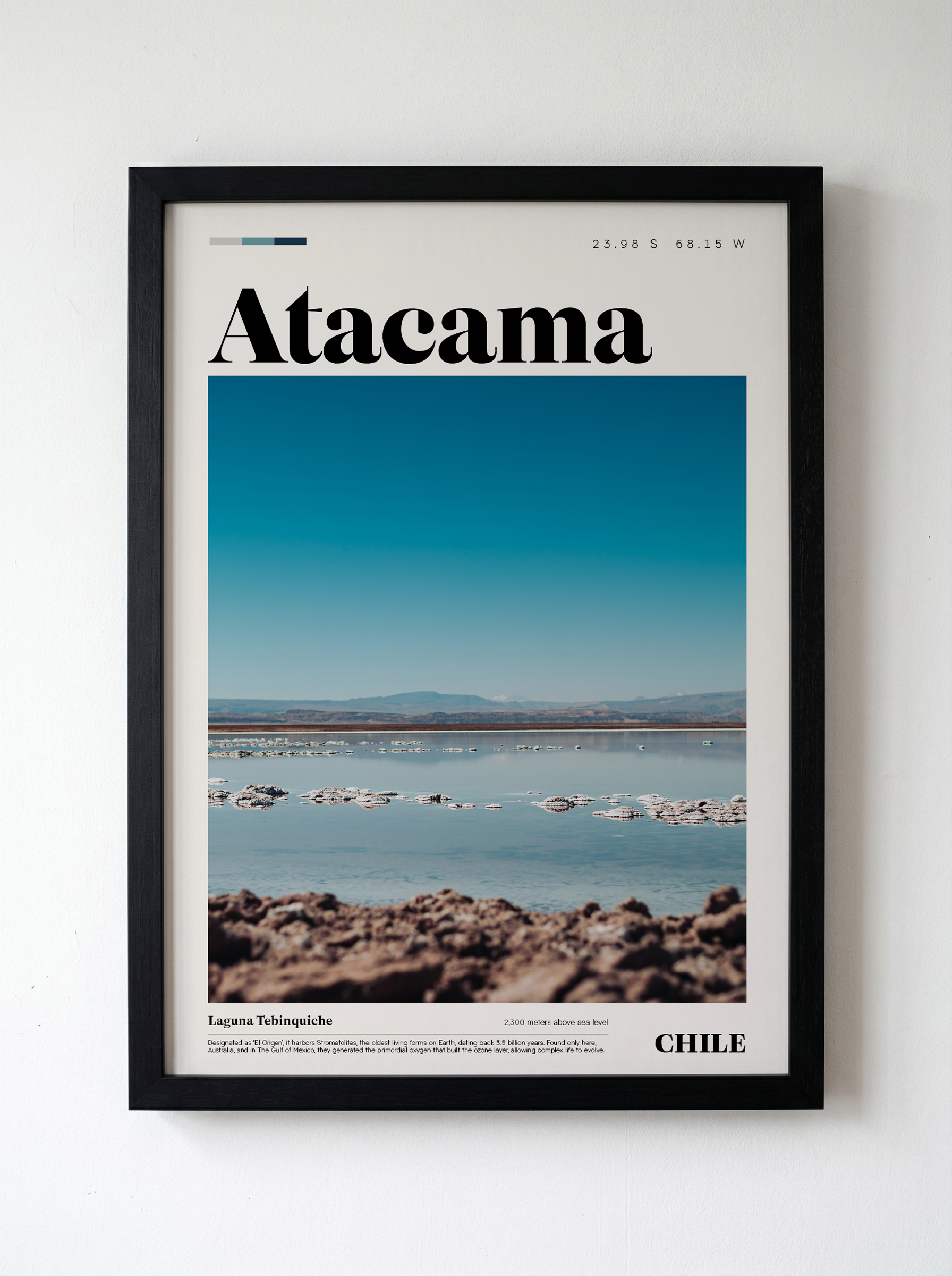 Laguna Tebinquiche_Atacama Edition.png