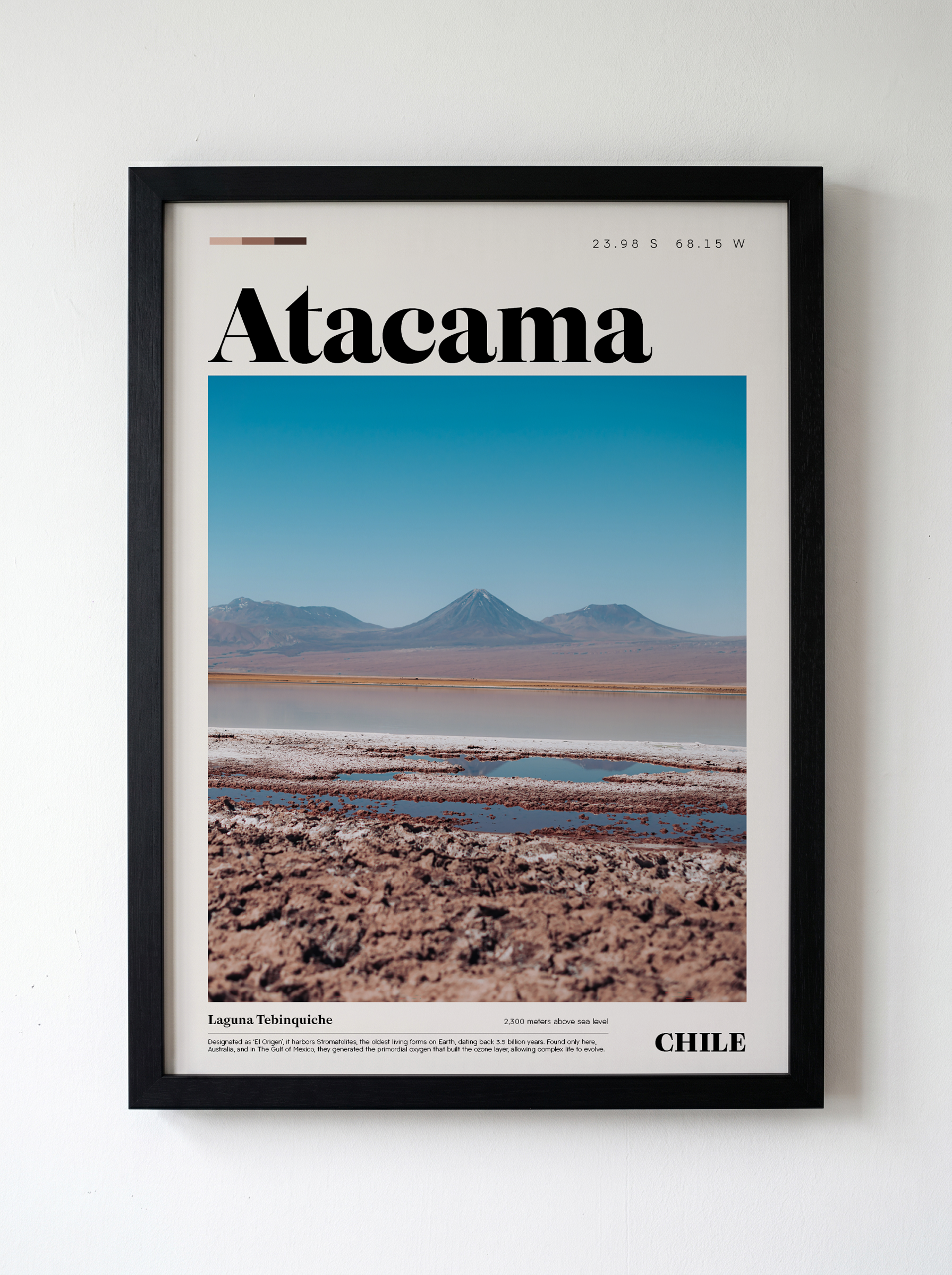 Laguna Tebinquiche 3_Atacama Edition.png