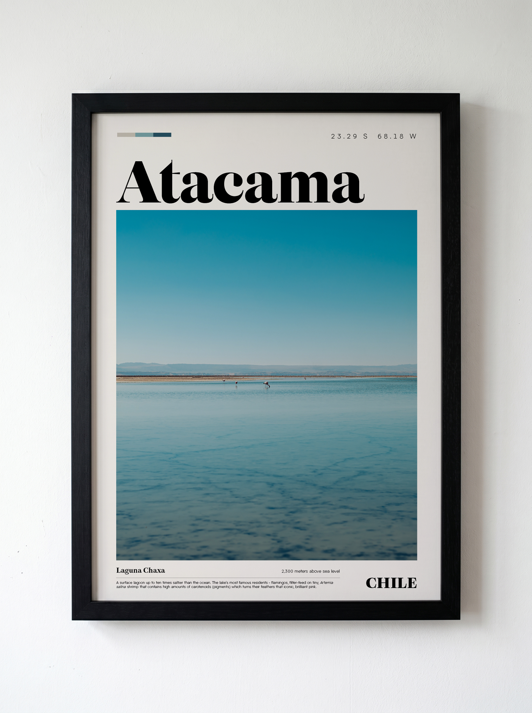 Laguna Chaxa_Atacama Edition.png