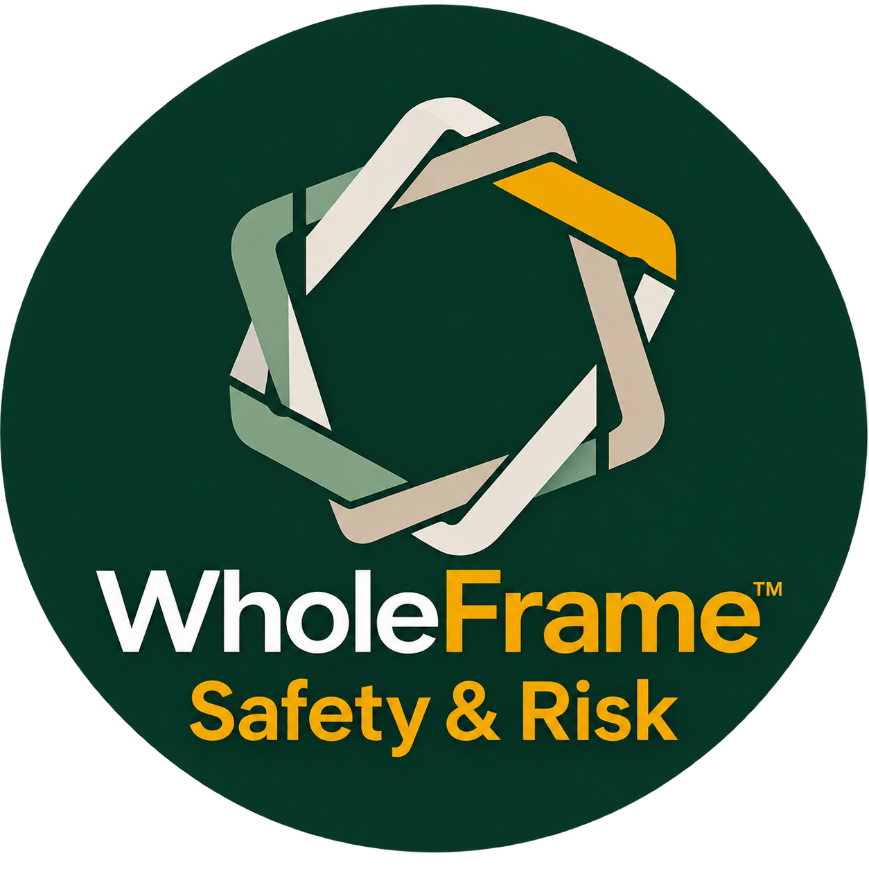 Whole Frame Safety & Risk logo with a stylized circular design and text.