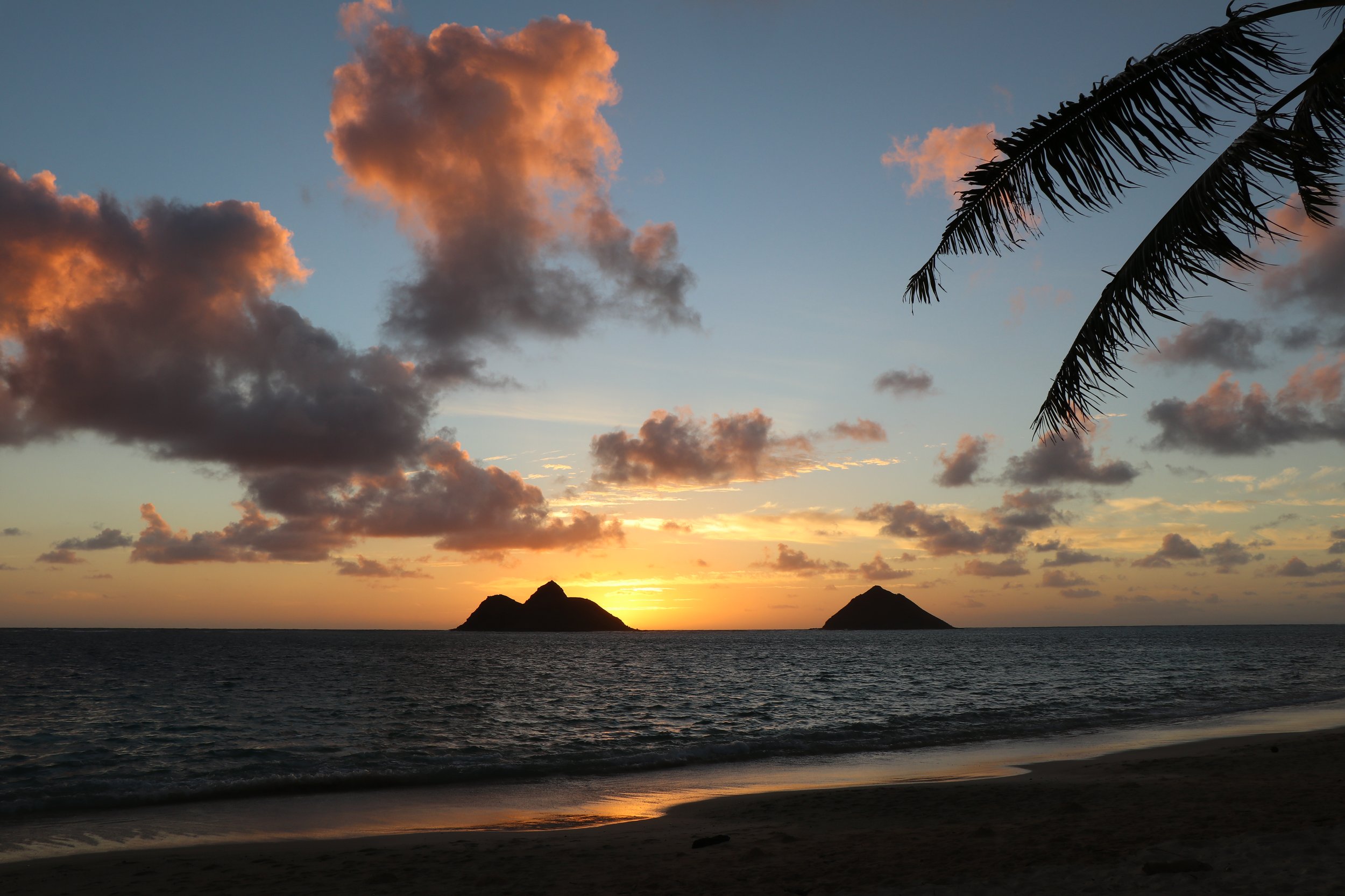 Sunset over the ocean with clouds in the sky, two islands in the distance, and a palm frond in the top right corner.