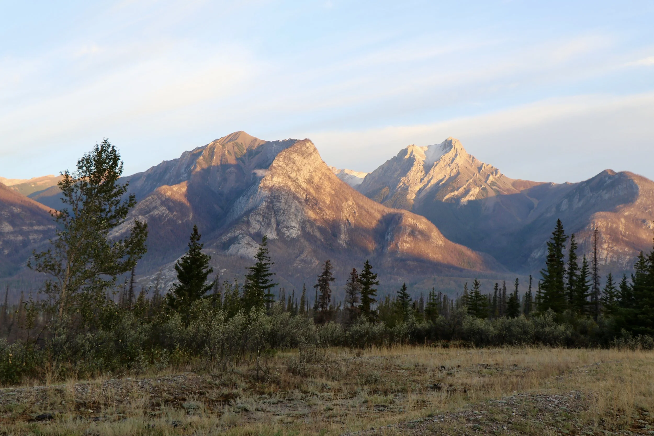 Sunlit mountain range with snow-capped peaks, forested slopes, and a foreground of trees and grassy land under a clear blue sky.
