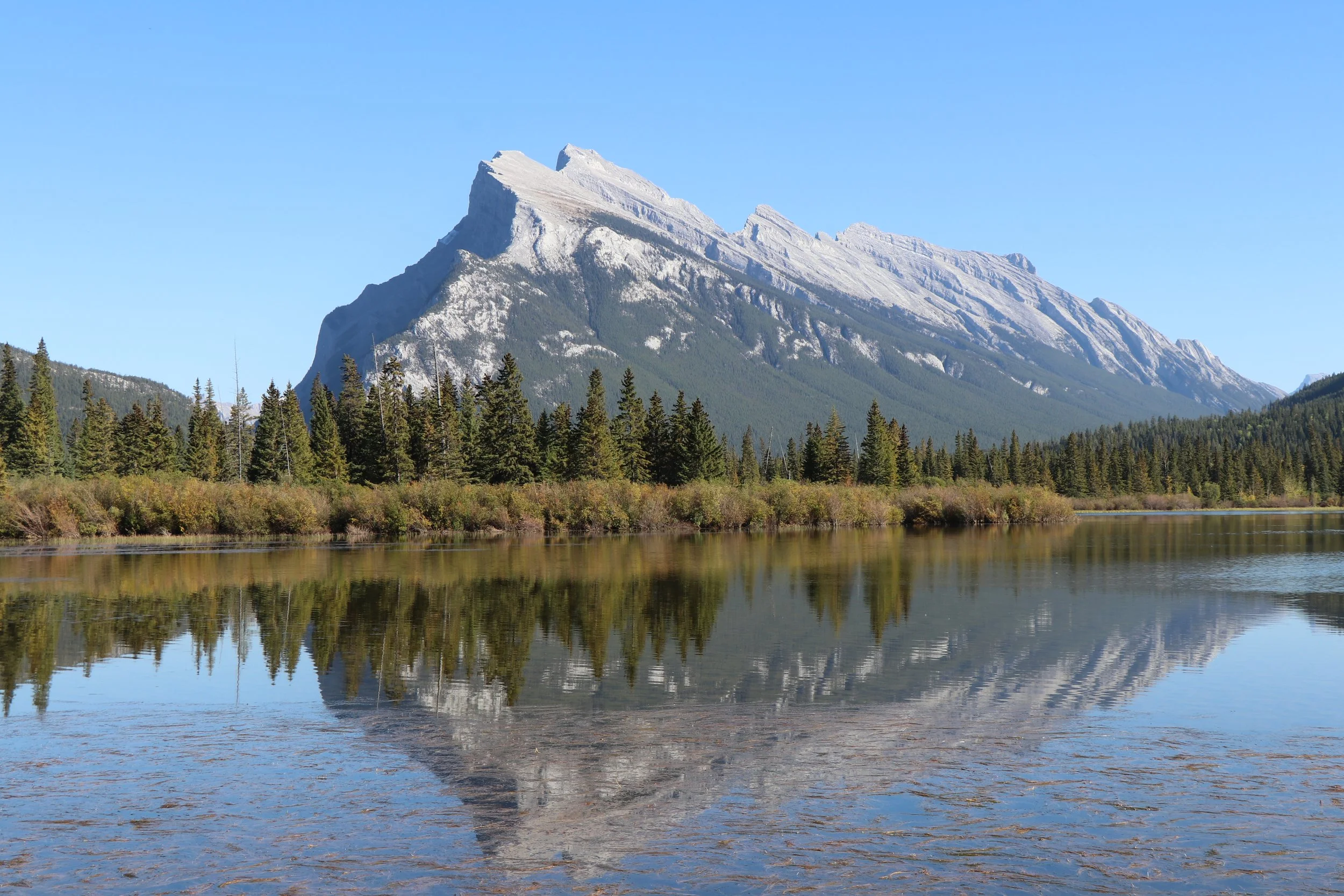 A mountain with a rocky, rugged summit surrounded by lush green trees, reflected in a calm body of water under a clear blue sky.