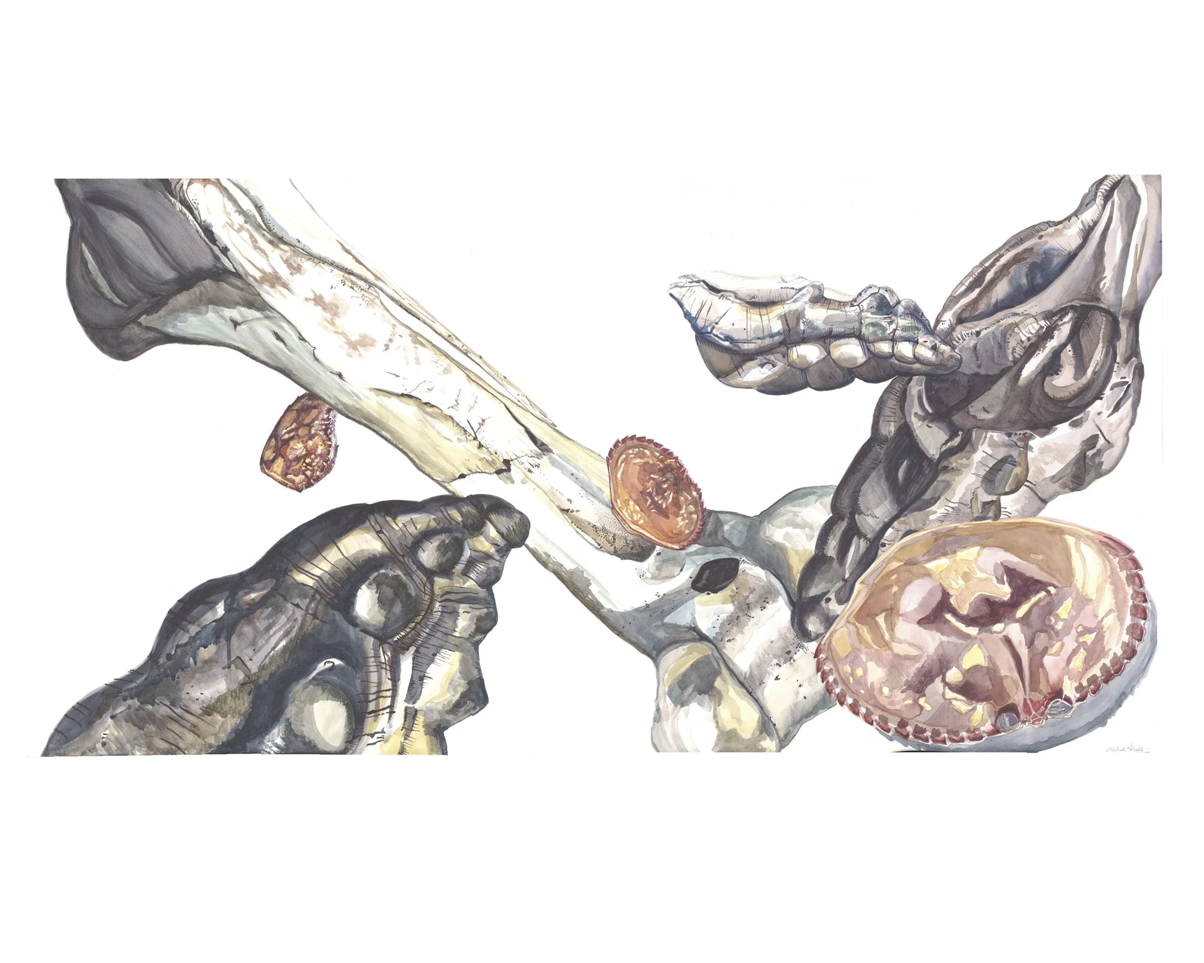 Tidepool, watercolor, 14x20, 2010