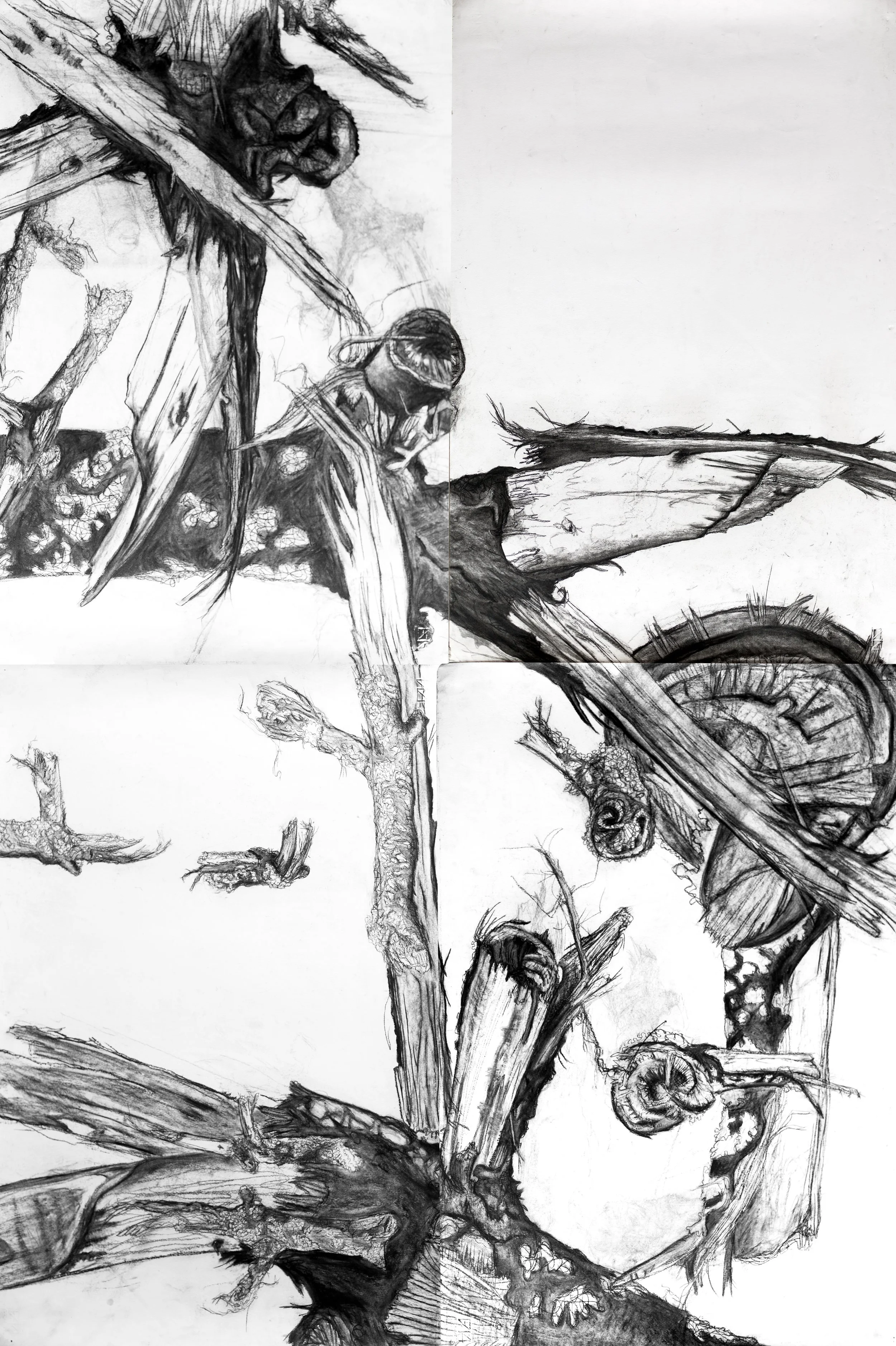 Sticks, conté, 36 x 48, 2009