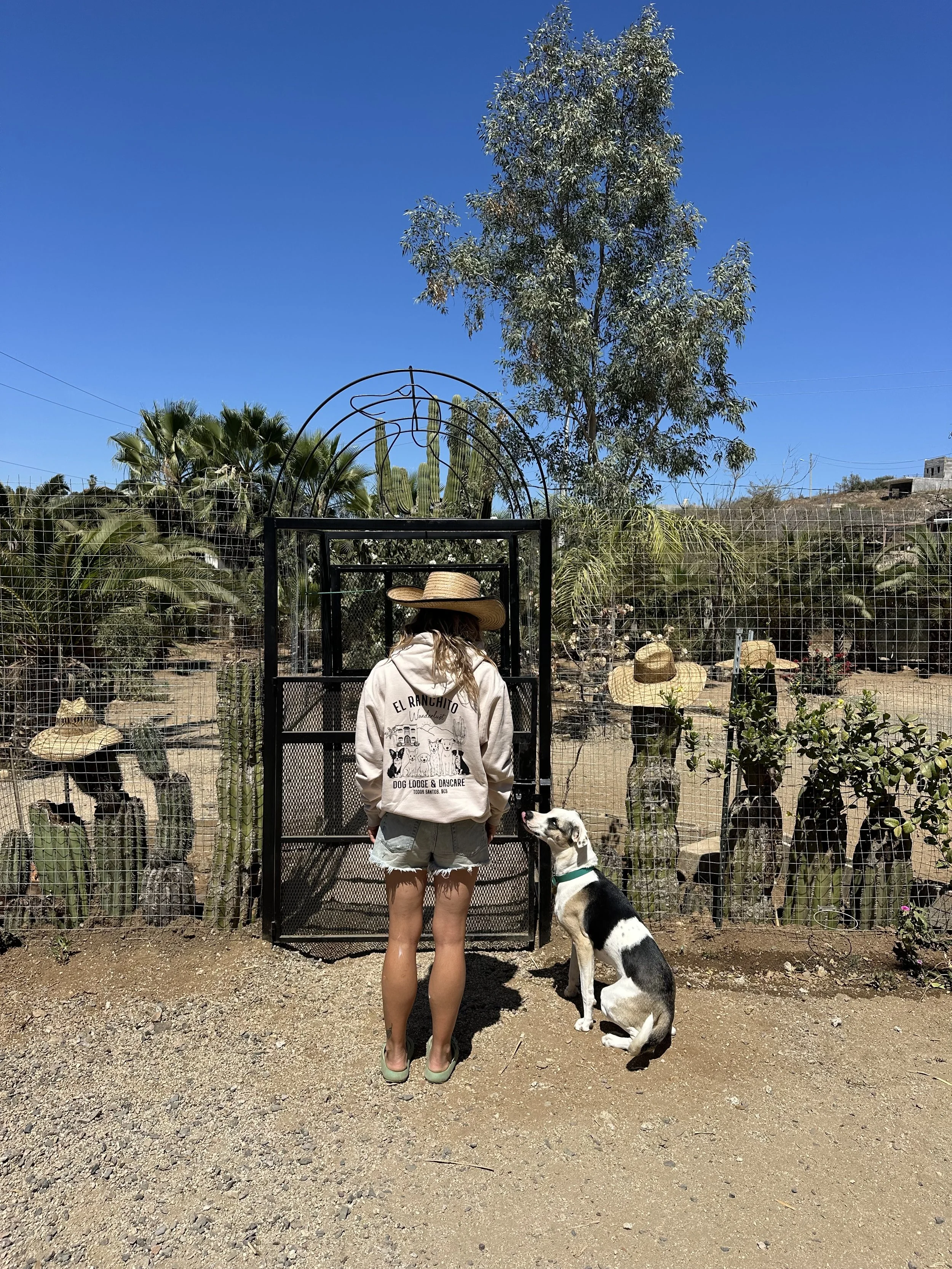 Entrance to the private dog park at El Ranchito Wanderlust, a dog daycare and boarding retreat in Todos Santos, Baja California Sur