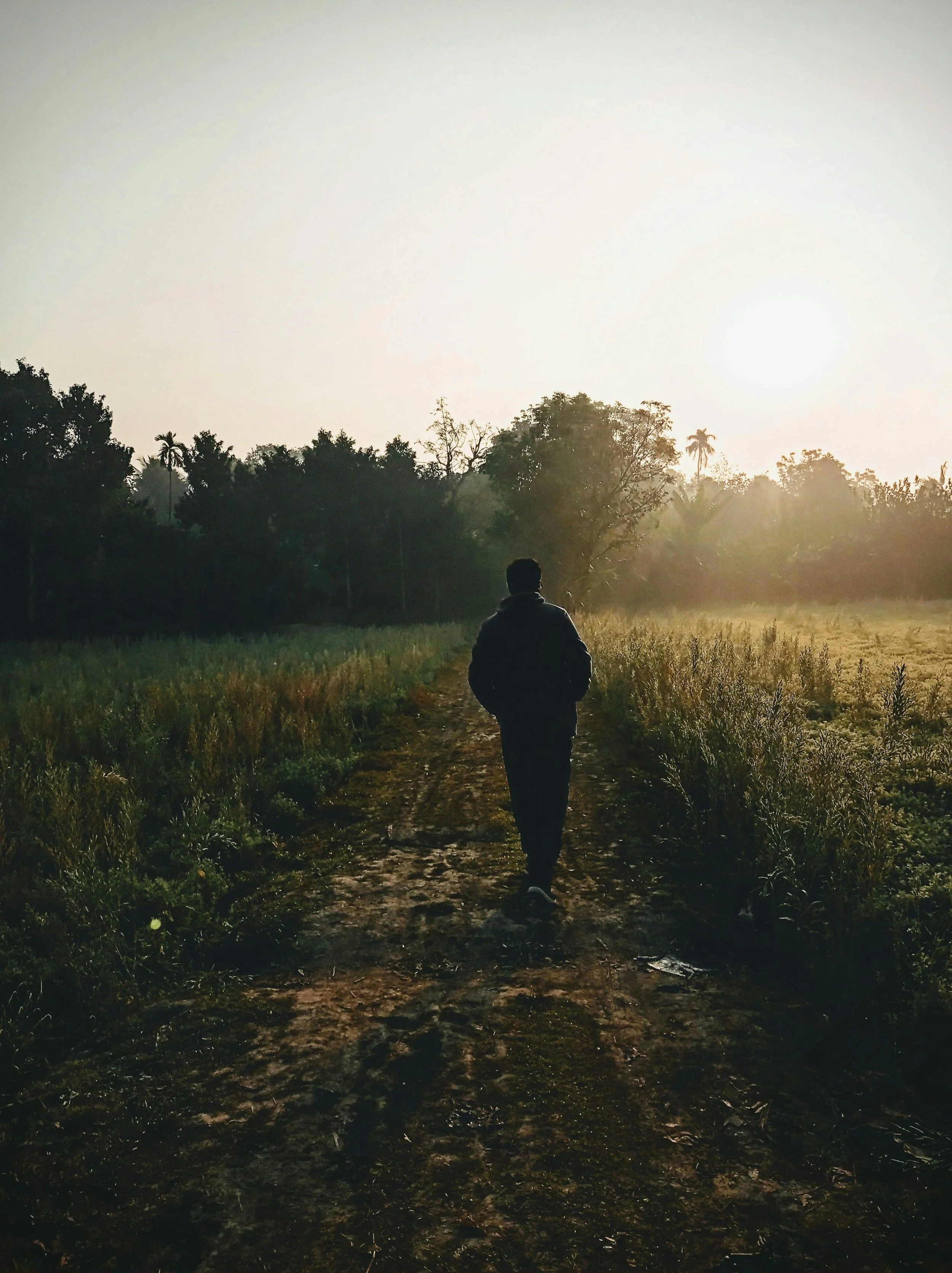Person walking on a dirt path through a field with trees in the distance during sunset or sunrise.