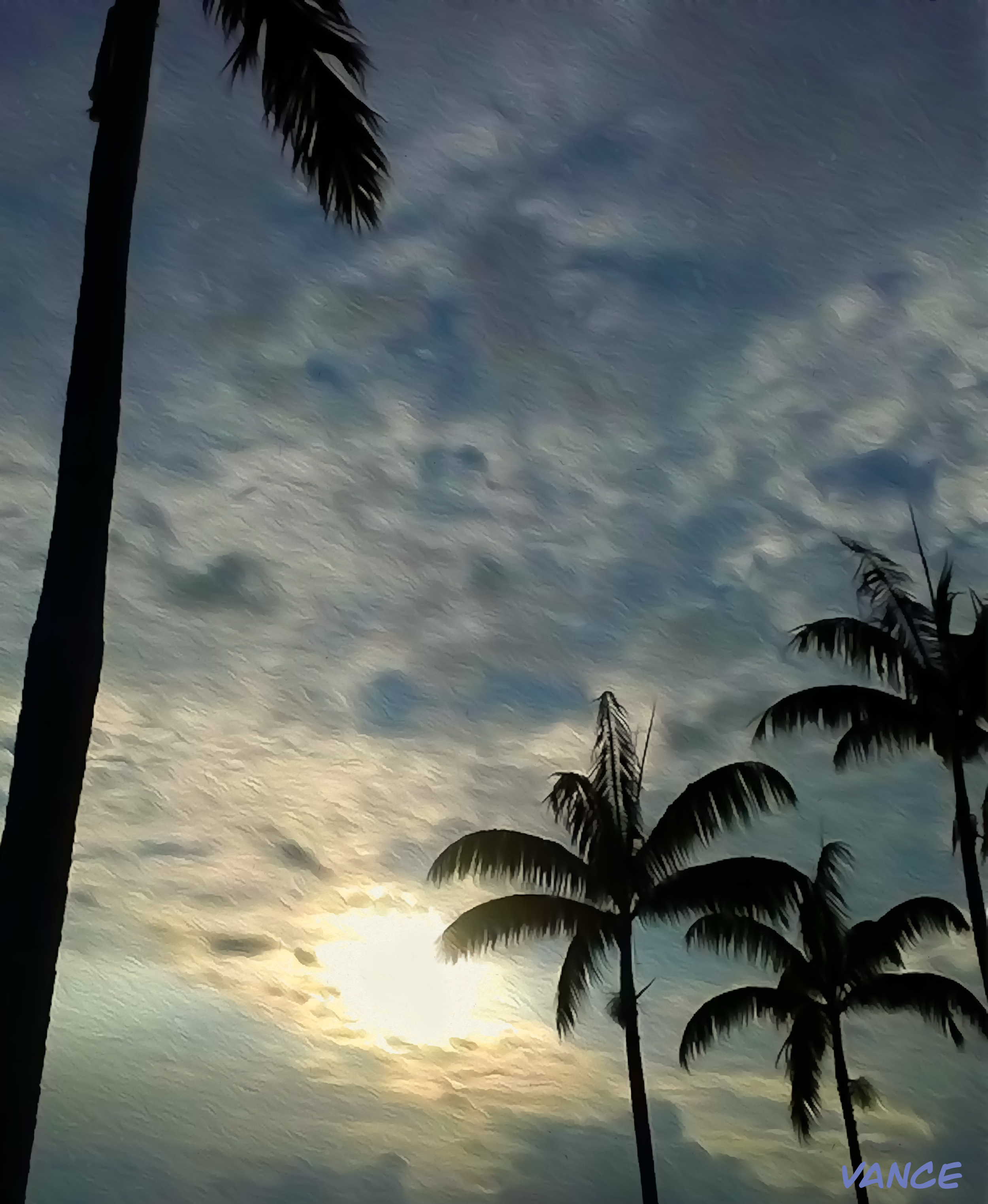 Silhouettes of palm trees against a sunset sky with clouds and a colorful gradient from yellow to blue.