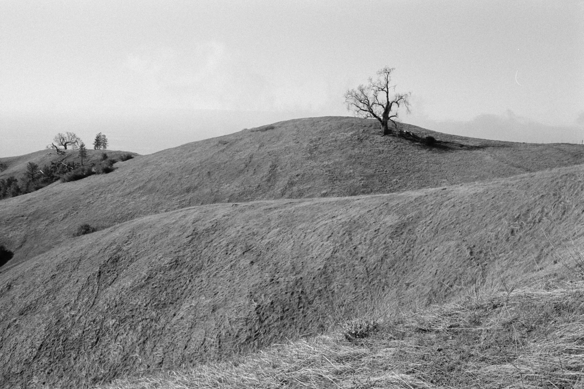 kyeler-w-brant-352.jpg