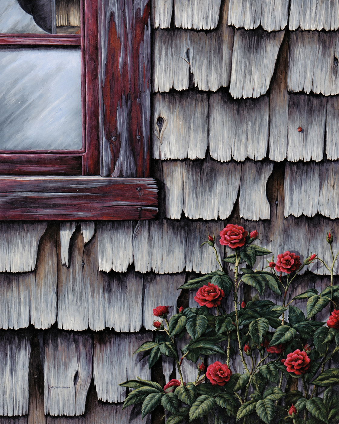 Weathered Shingles and Crimson Roses.png