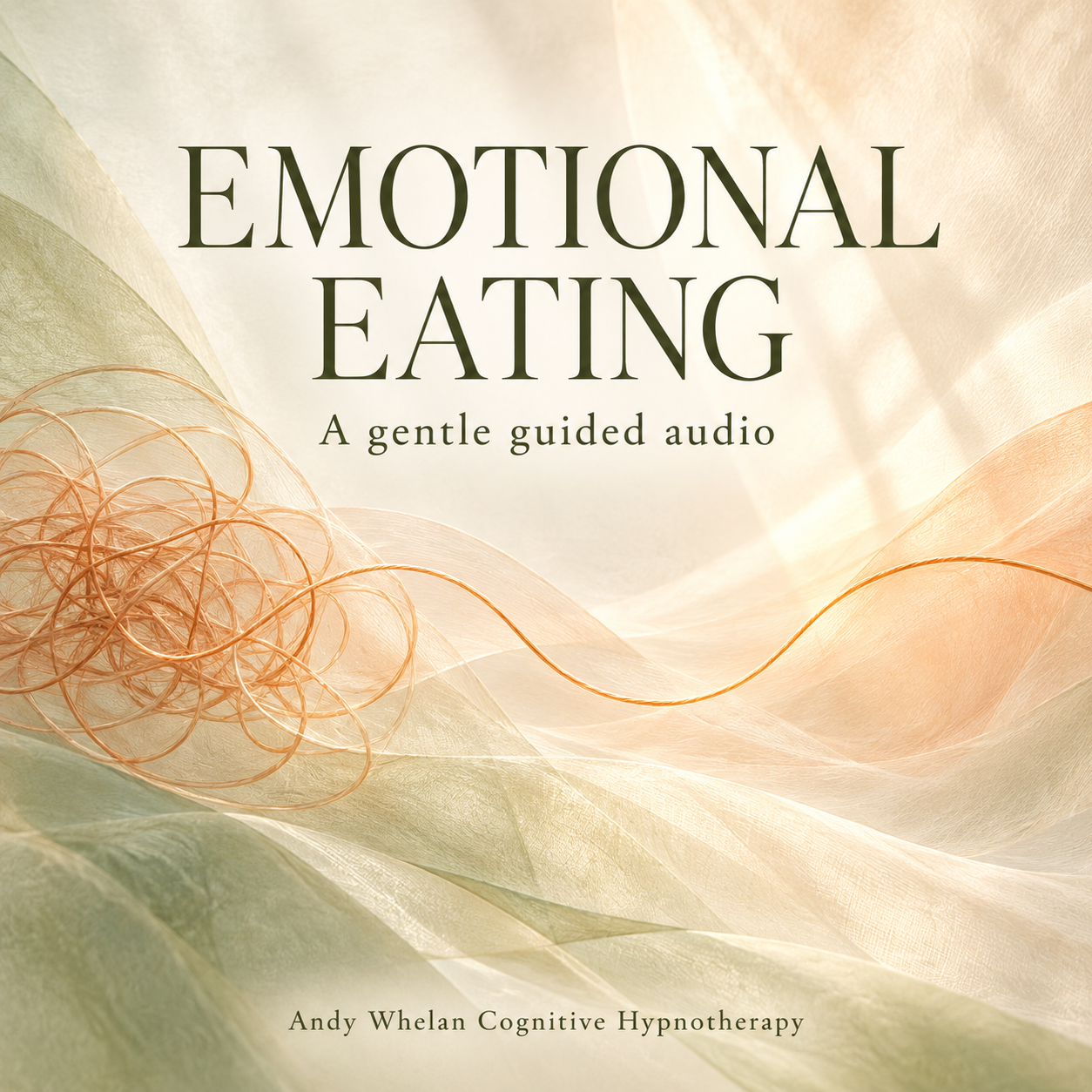 Emotional Eating – Guided Audio