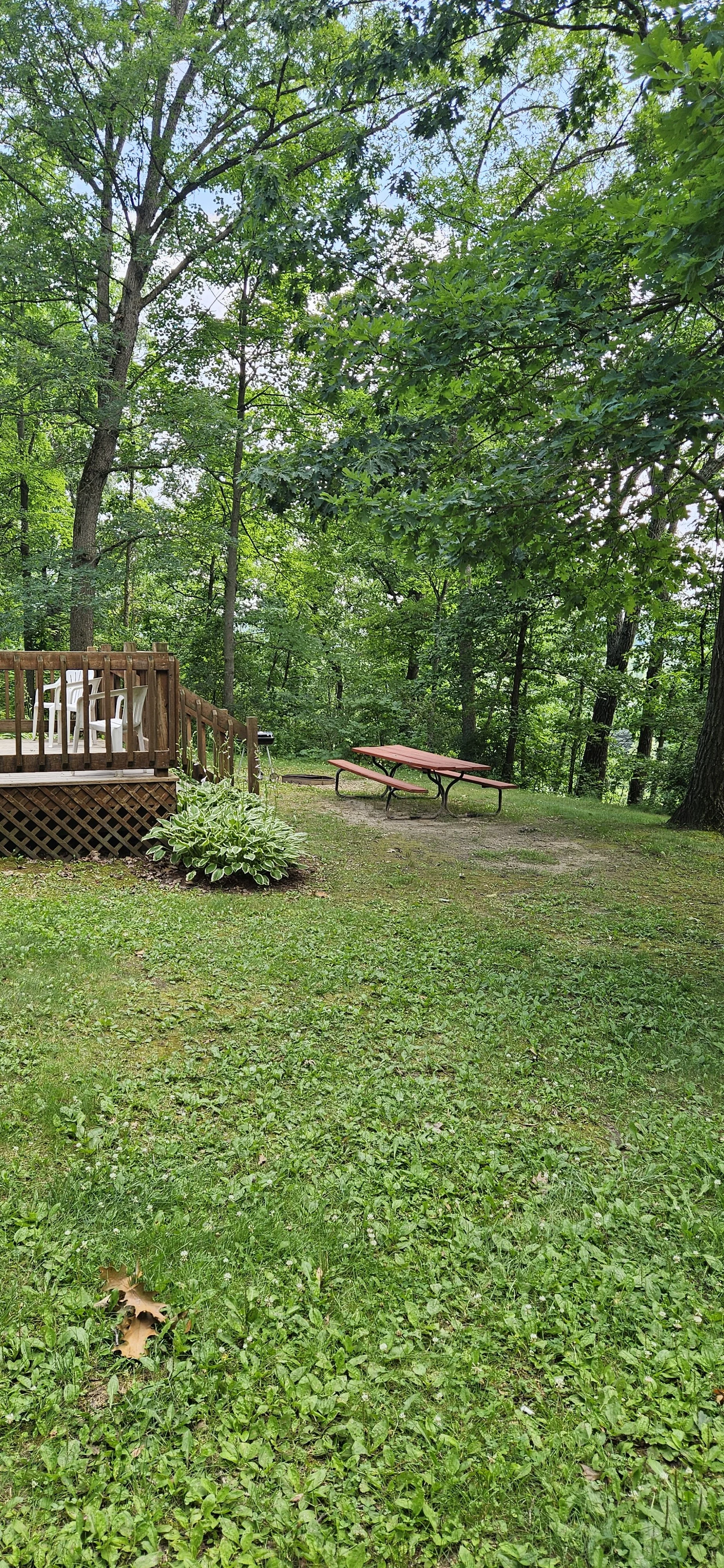 20260709_153539.jpg
