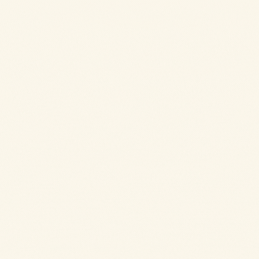 A light-colored background with no distinct objects or scenery.