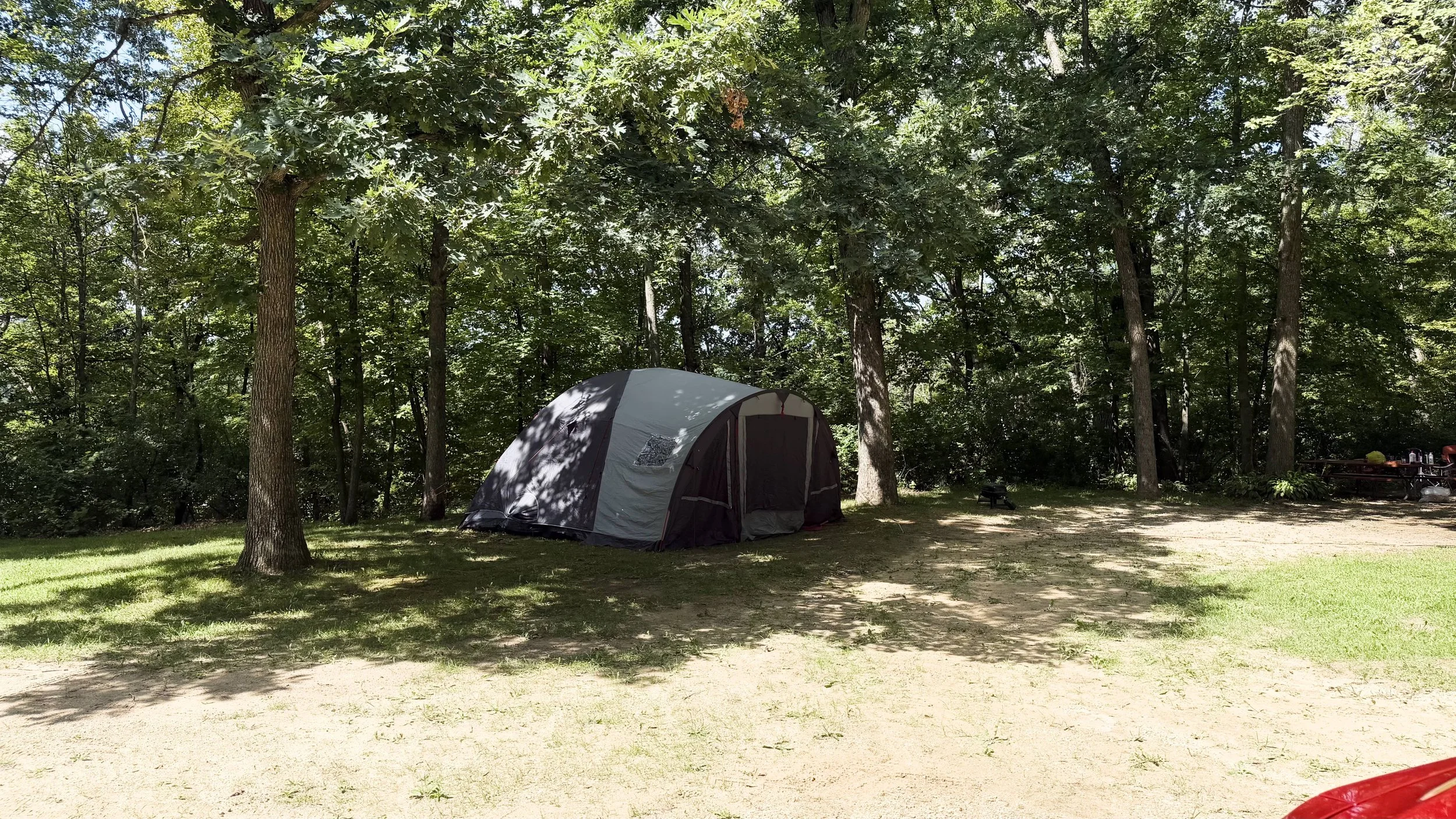 A campground scene with a gray tent set up among tall trees with green leaves. Sunlight filters through the canopy, casting dappled shadows on the grassy ground.