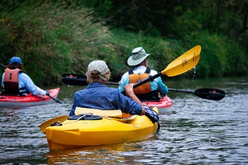 Group of people kayaking on a calm river surrounded by greenery