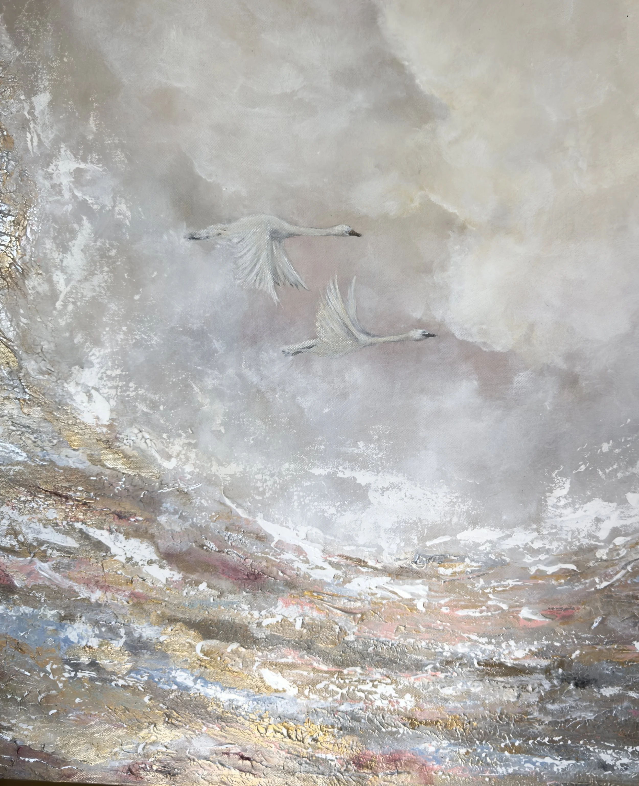 IMG_0736.jpeg