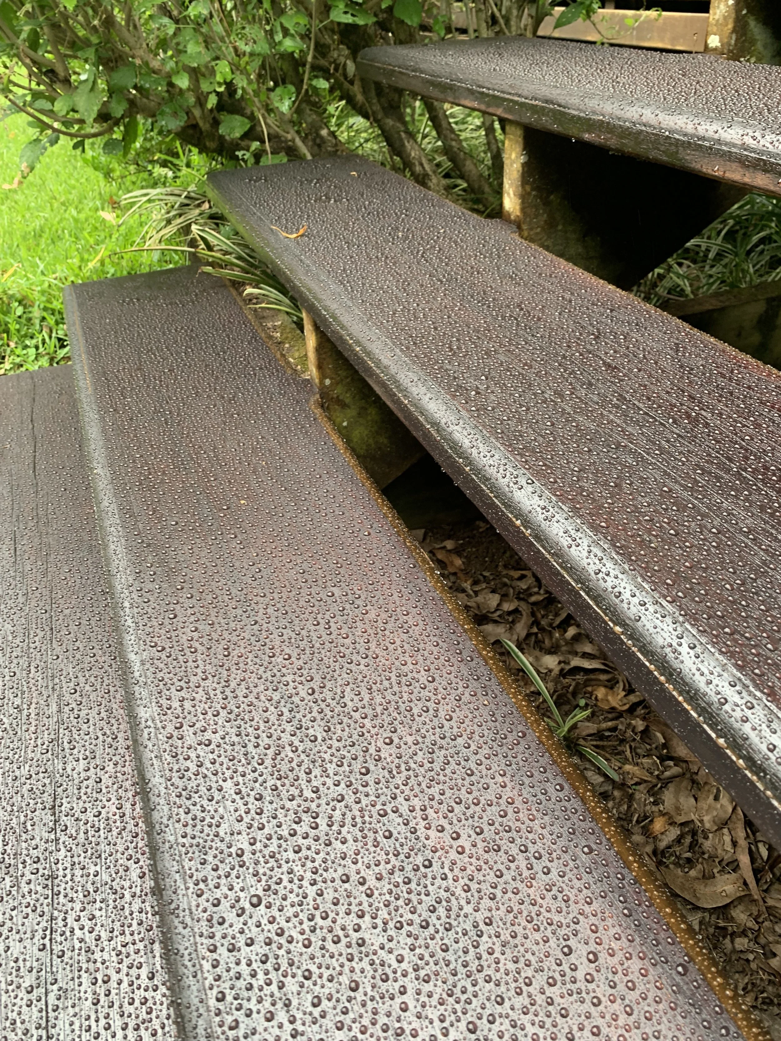 A wooden outdoor bench with water droplets on its surface, surrounded by green plants and leaves.