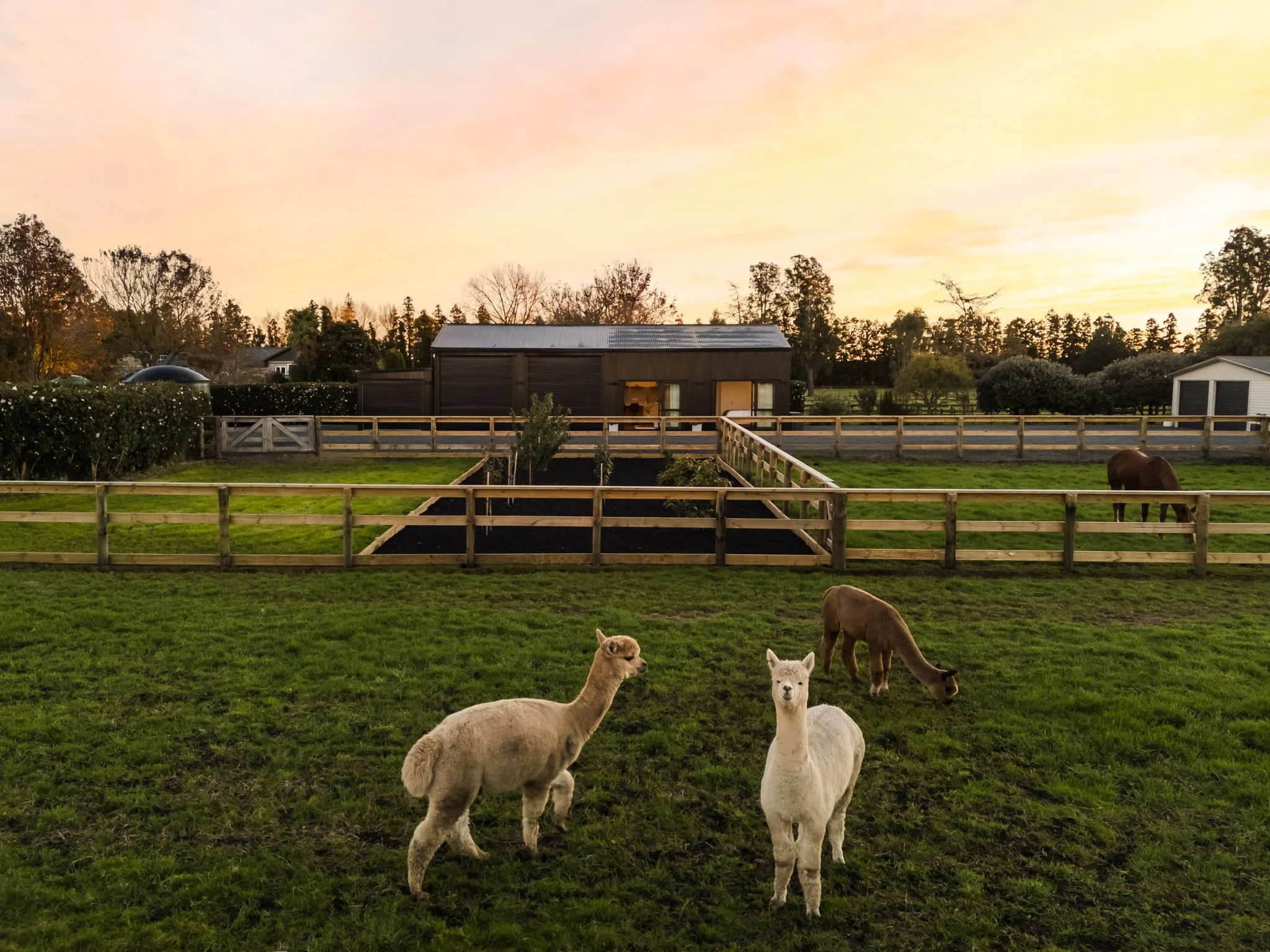 6-web-or-mls-inHouse_DJI_20260514171251_0876_D-HDR-Edit (2).jpg