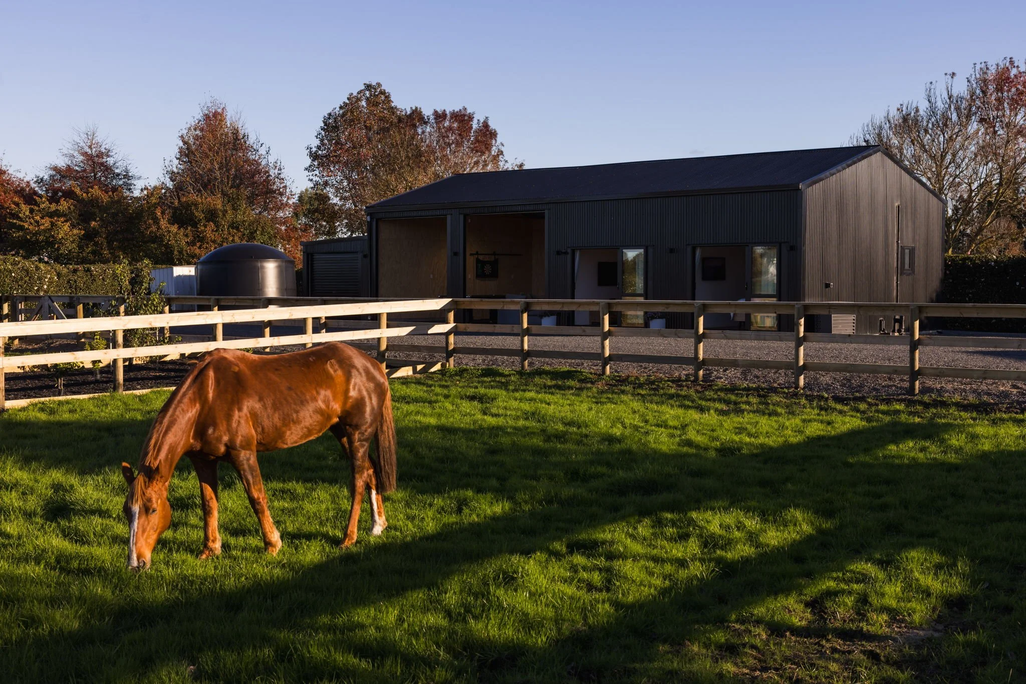 Horse friendly accommodation