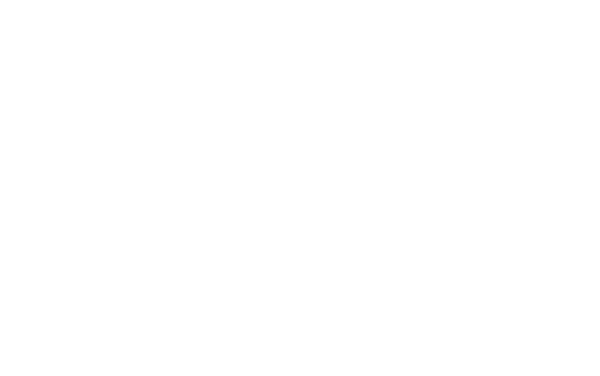 Twisted Twins &amp; Co