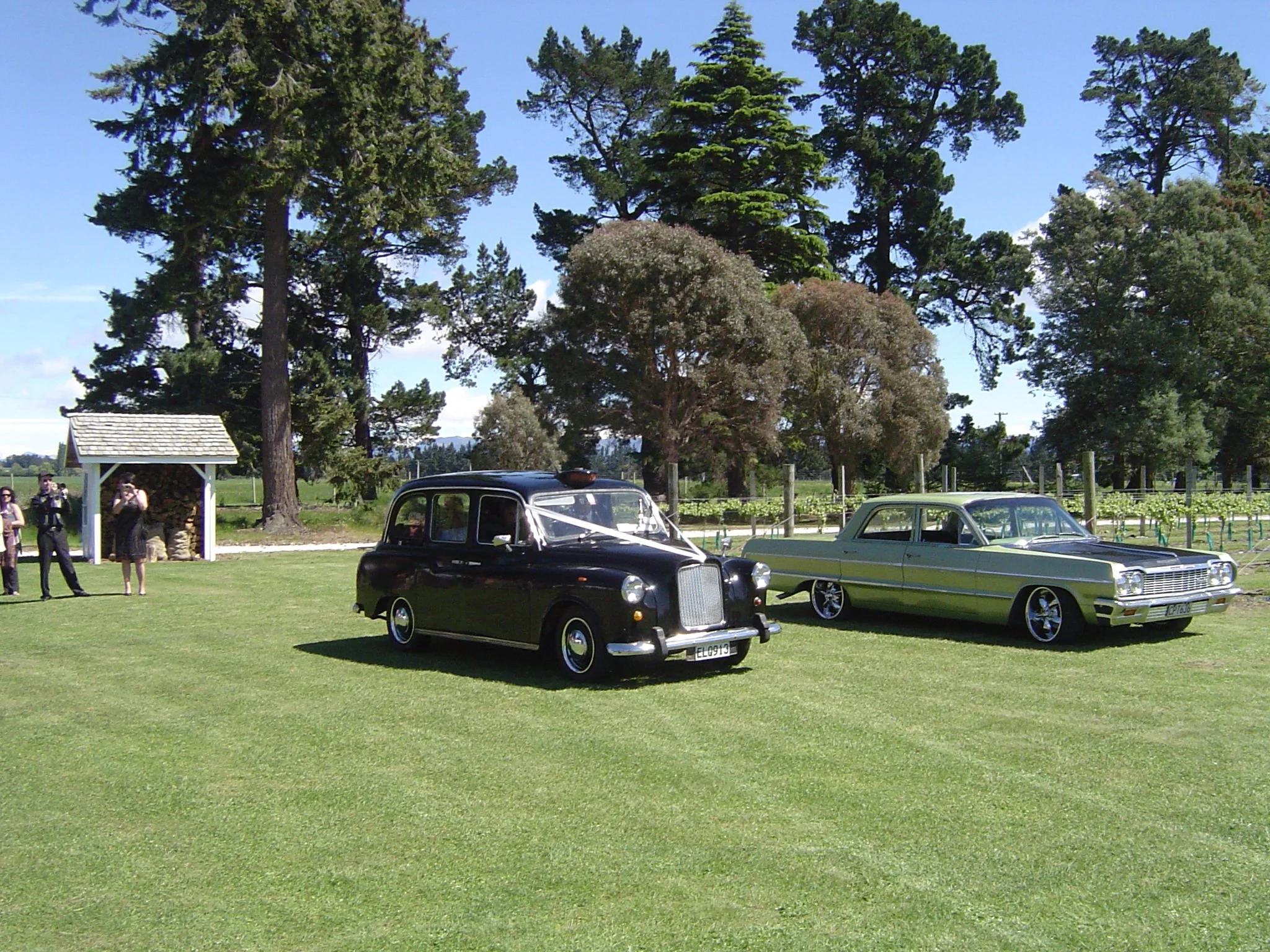 A grassy outdoor area with several vintage cars parked, including a black car and a beige car. There are people standing on the left side, some taking photos. Tall trees with dense green foliage are in the background, under a blue sky with some cloud