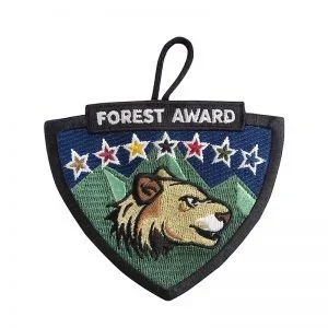 Embroidered Forest Award patch featuring a lion's head with a mountain range and stars in the background.
