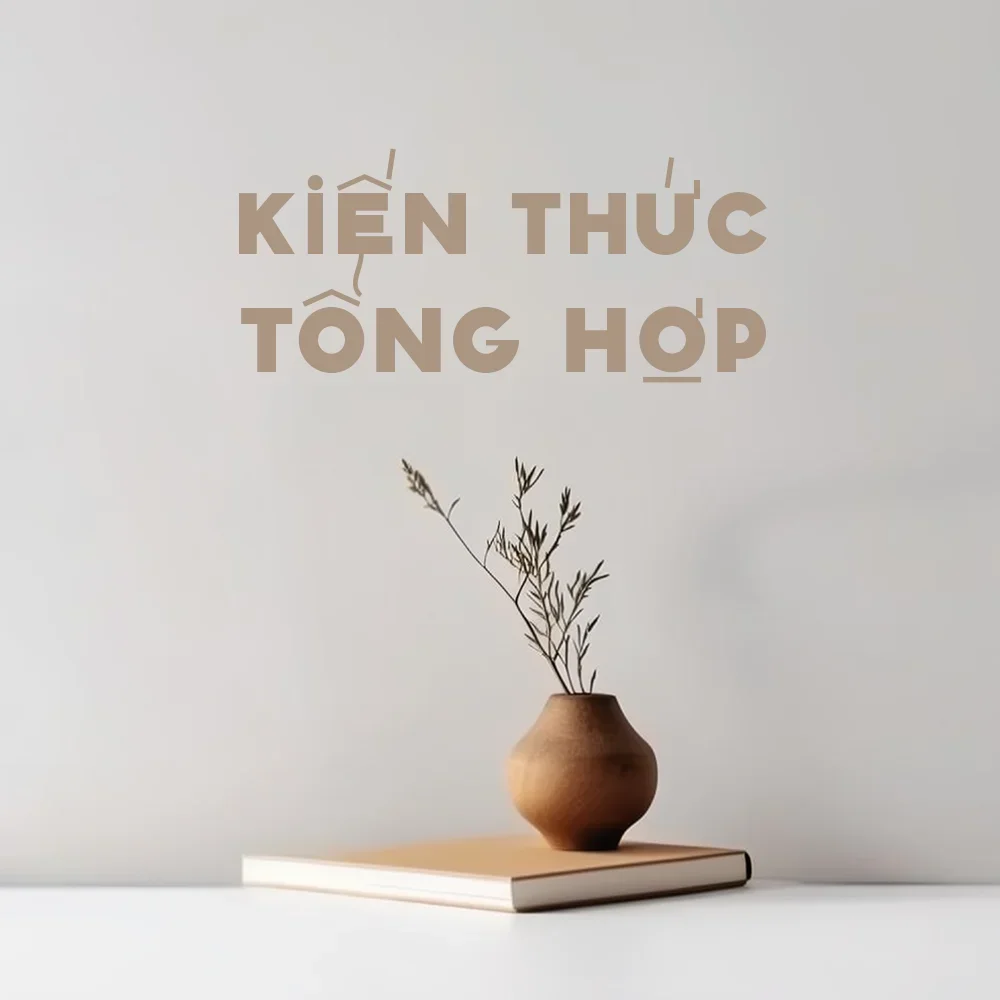 Banner tủ sách kiến thức tổng hợp của tiệm sách Saigon gồm sách lịch sử, sách triết học, sách khoa học