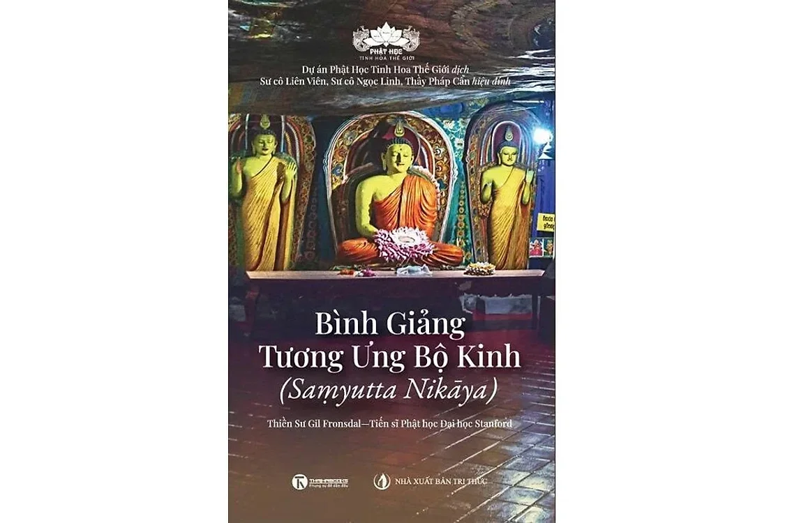 Bìa sách Bình giảng Tương Ưng Bộ Kinh - Thiền sư Gil Fronsdal