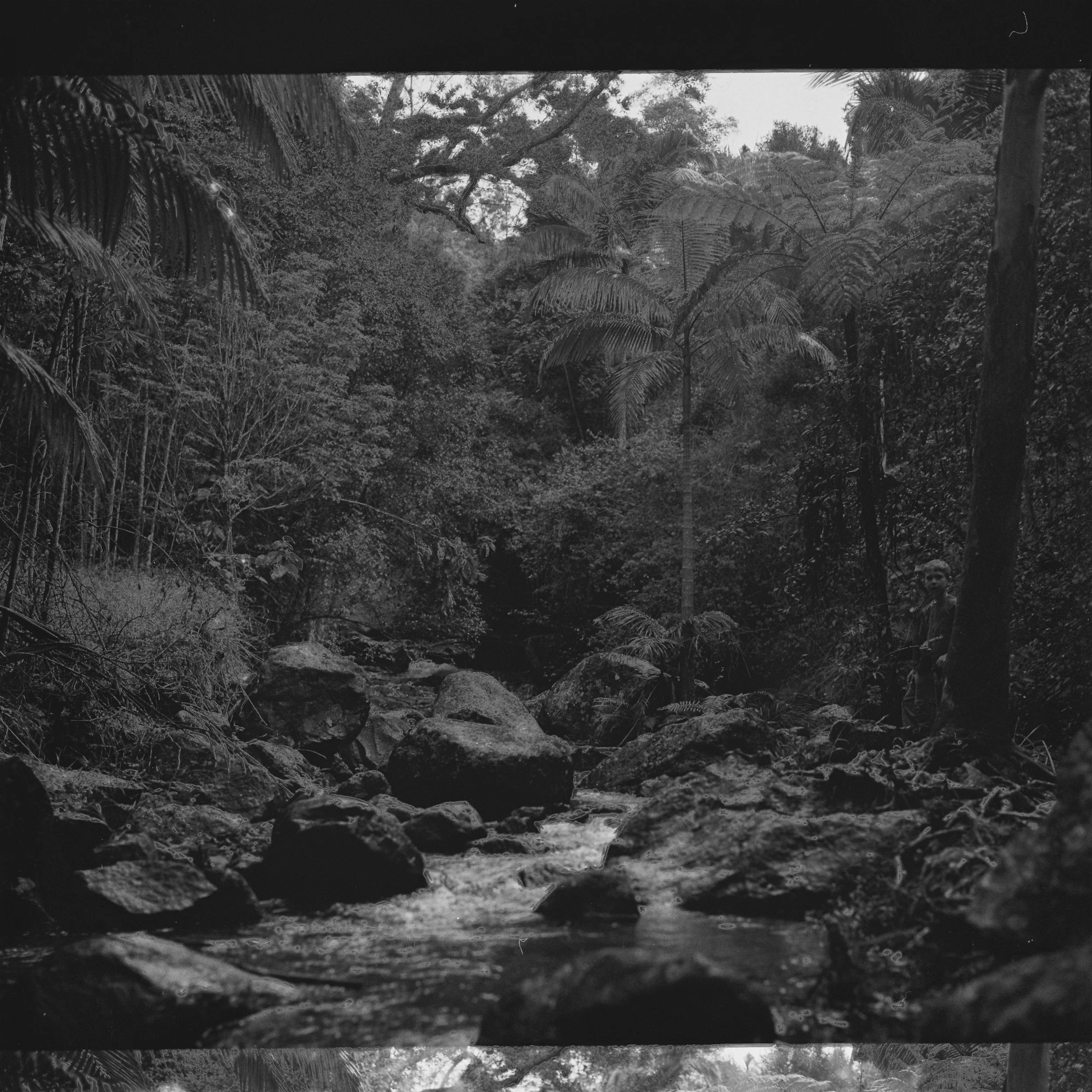 georgiablake.stories1. MT Warning.JPG
