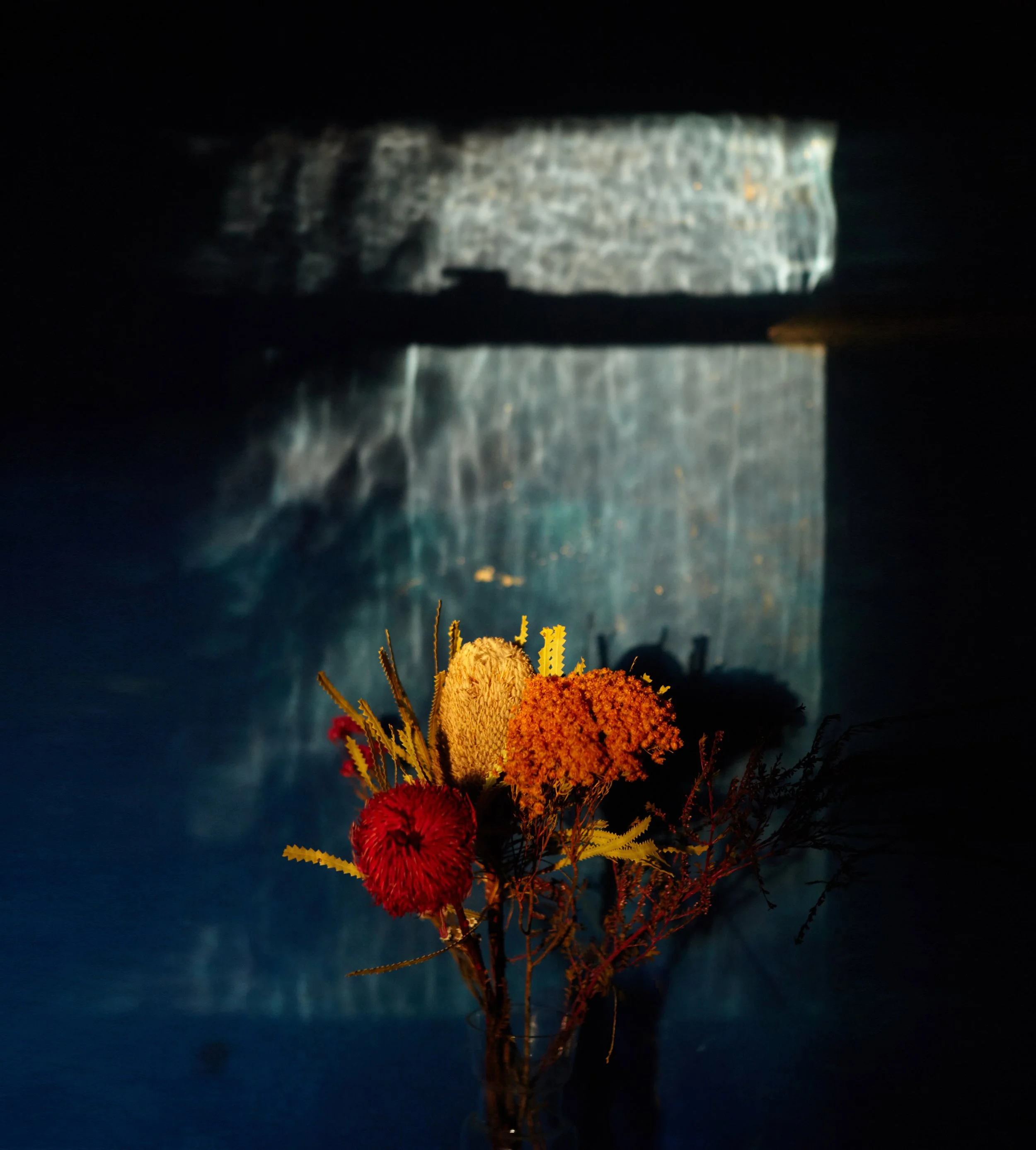 georgiablake.stories1. flowers blue wall.jpg
