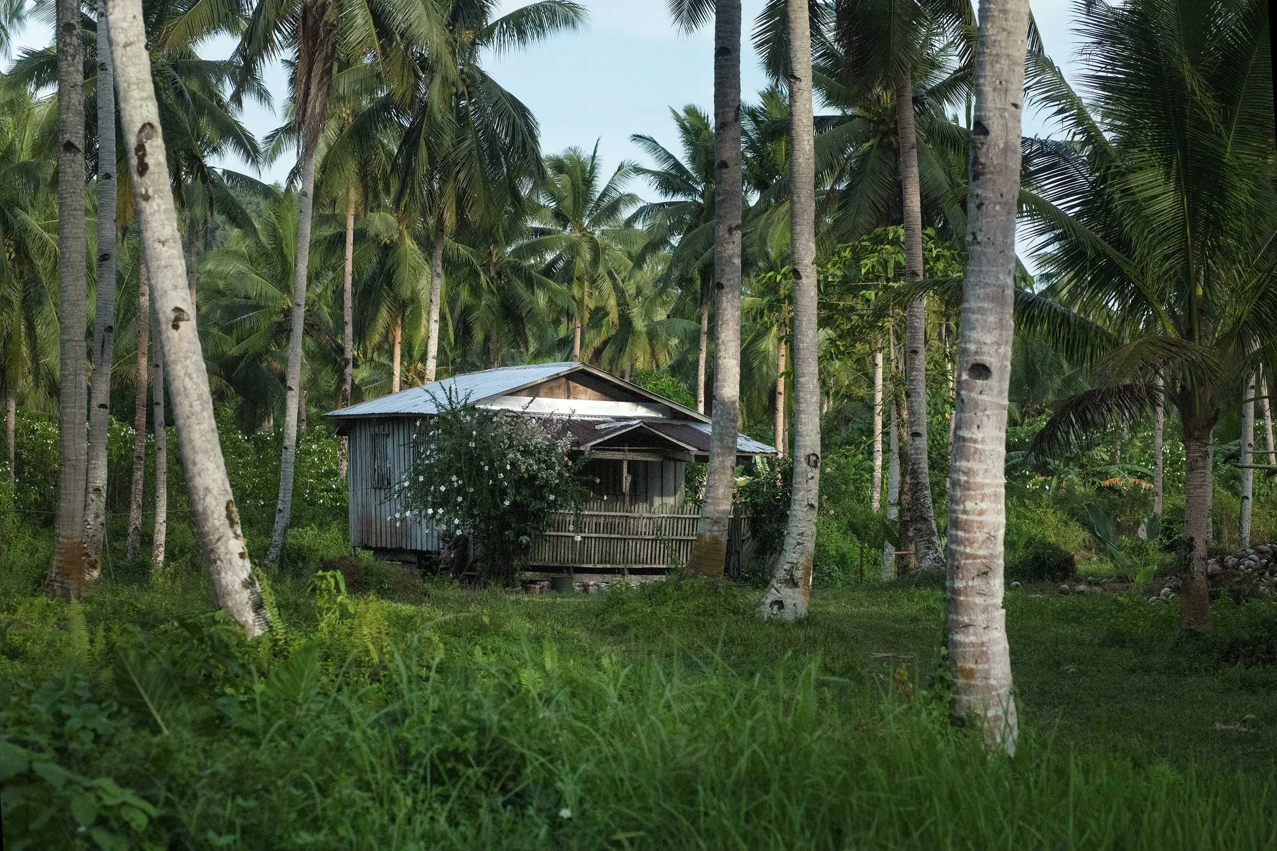 georgiablake.stories1. siargoa house.jpg