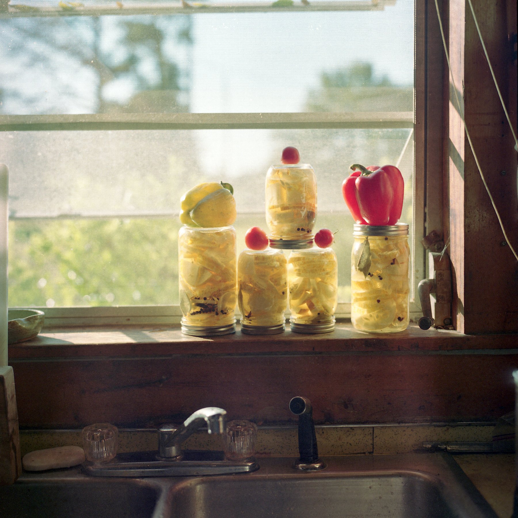 georgiablake.stories1. Missisippi pickle.jpg