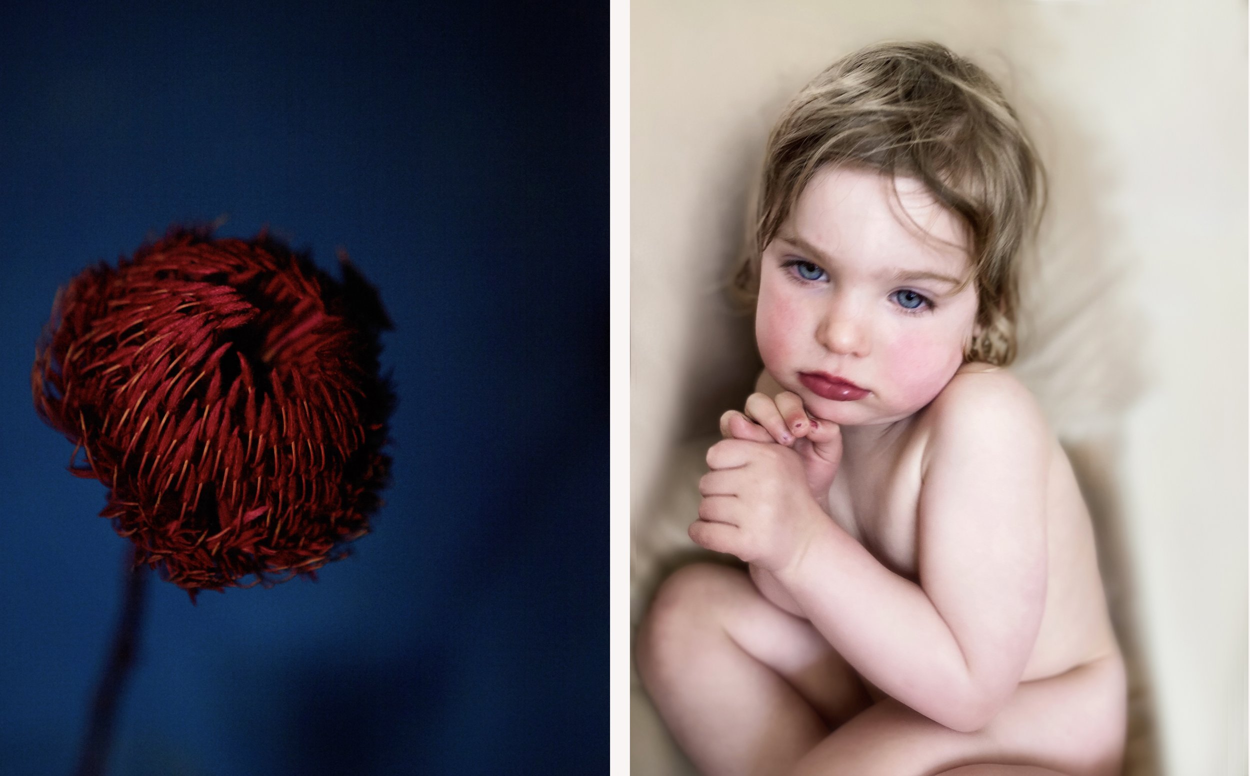 georgiablake.stories1. flower babie.jpg