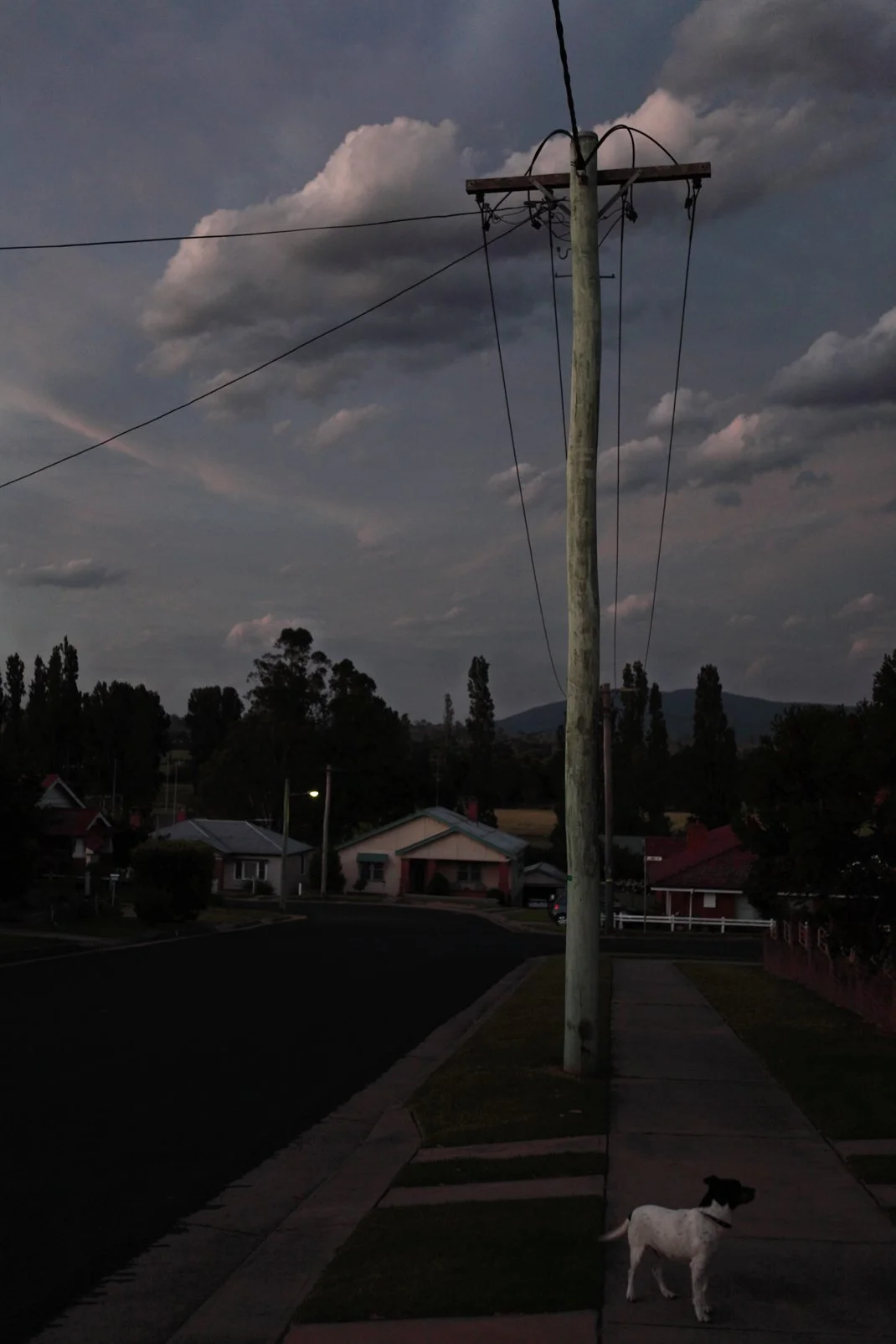 georgiablake.stories1. bega.jpg