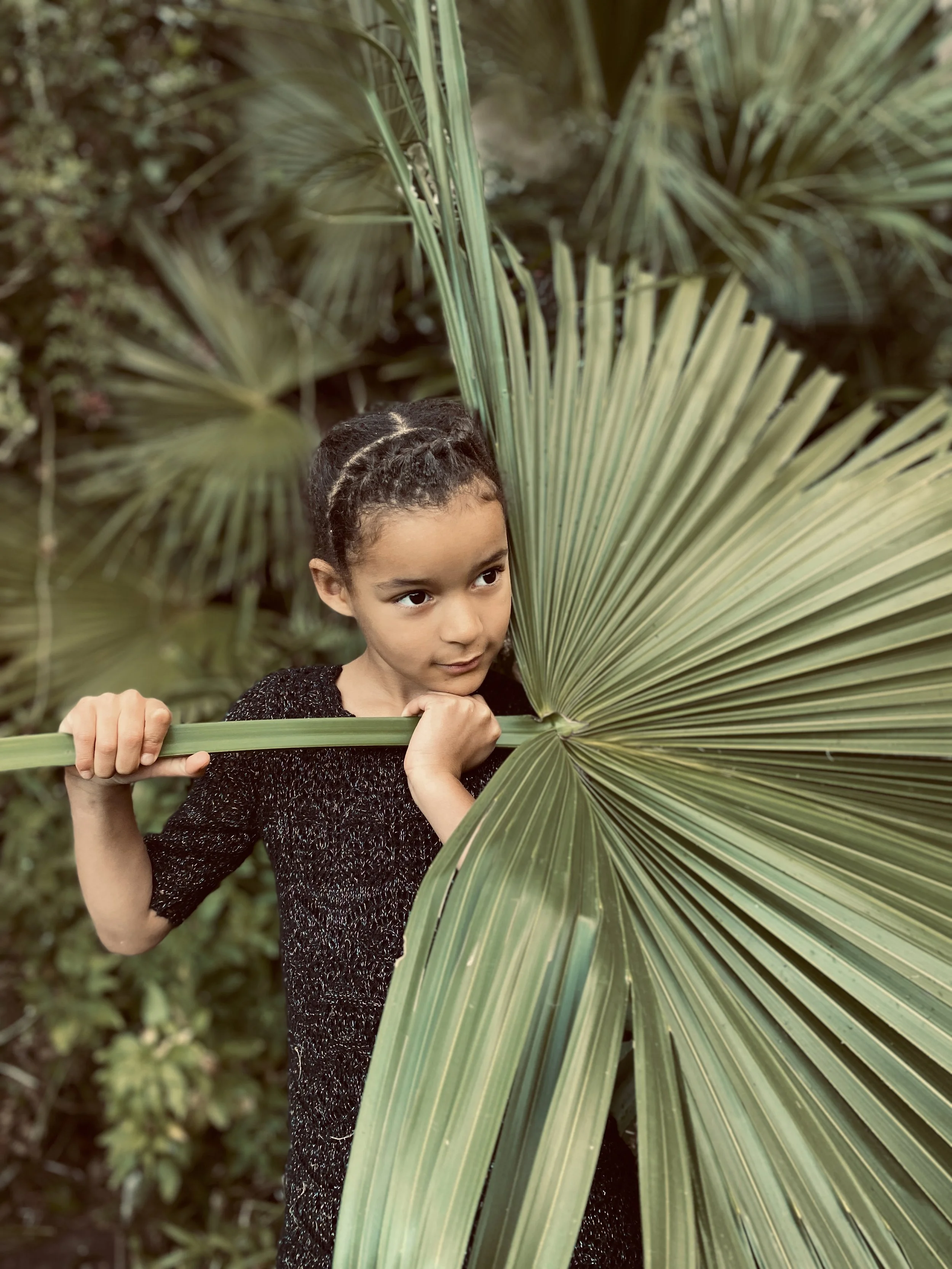 georgiablake.stories1. Adi Palm.jpeg