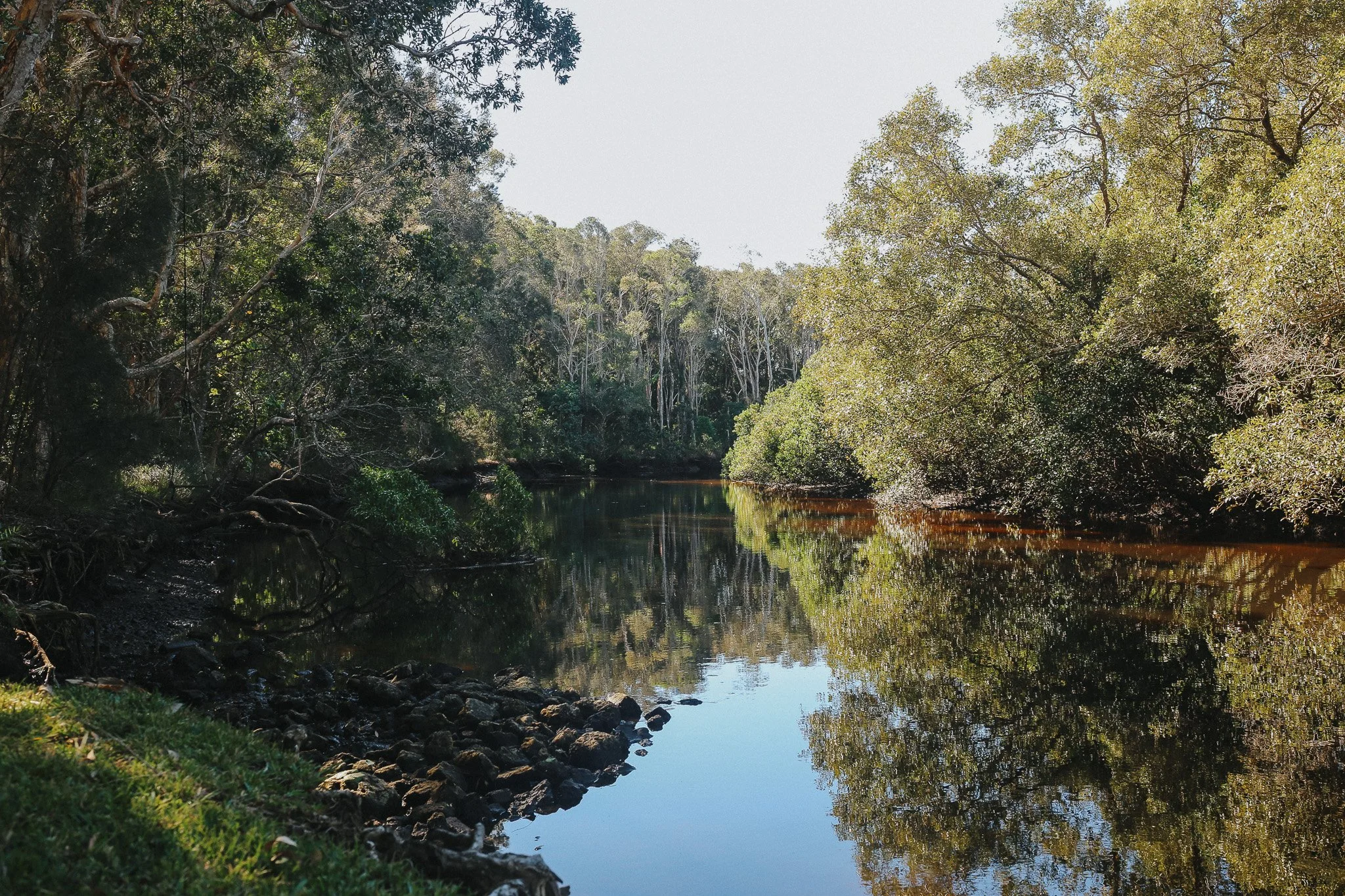 A serene scene of the Simpson River, Brunswick Headsbordered by lush greenery and tall trees with green and yellow leaves, reflected in the calm water.