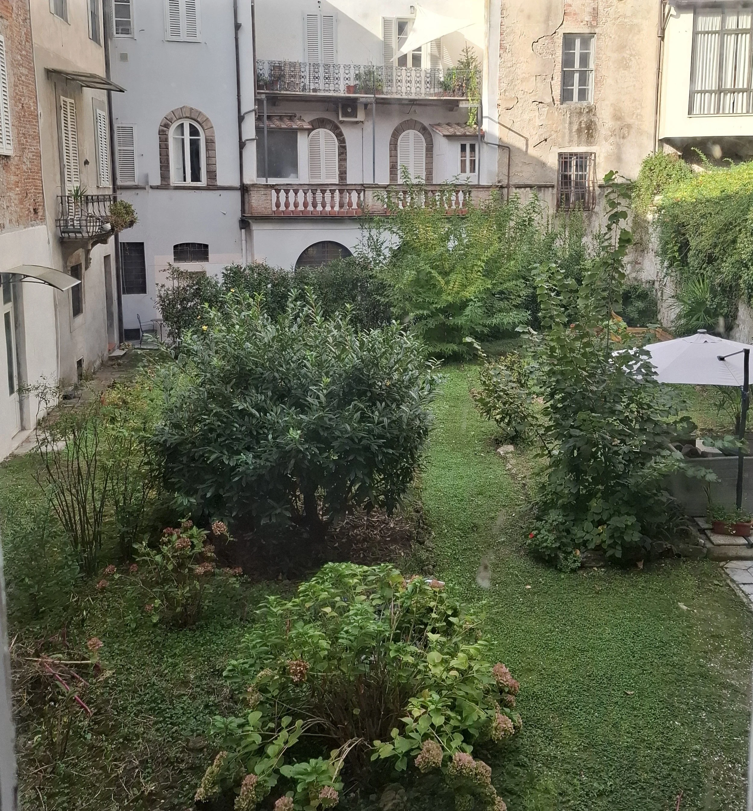 garden 3.jpeg