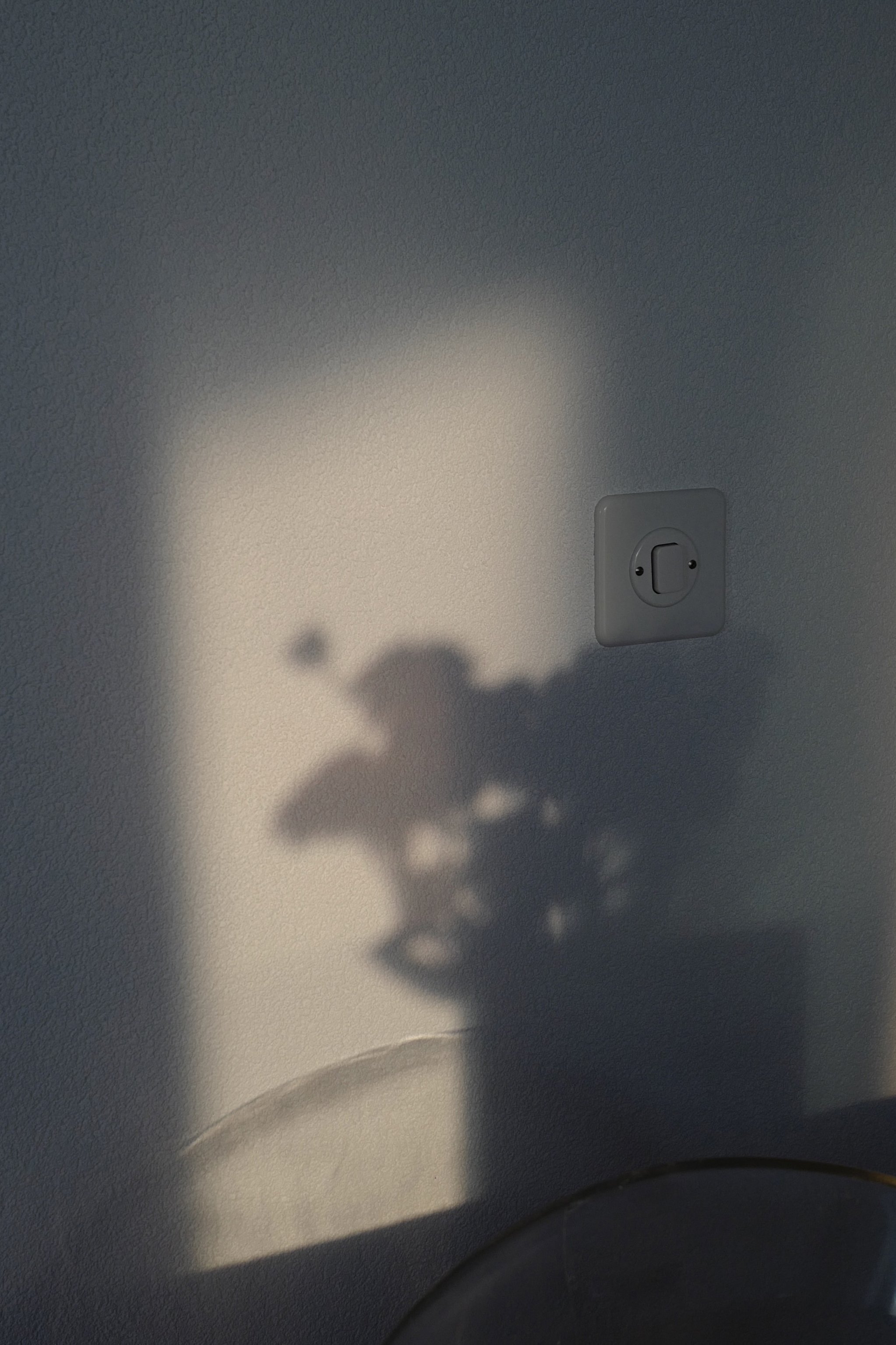 L1040832.jpeg