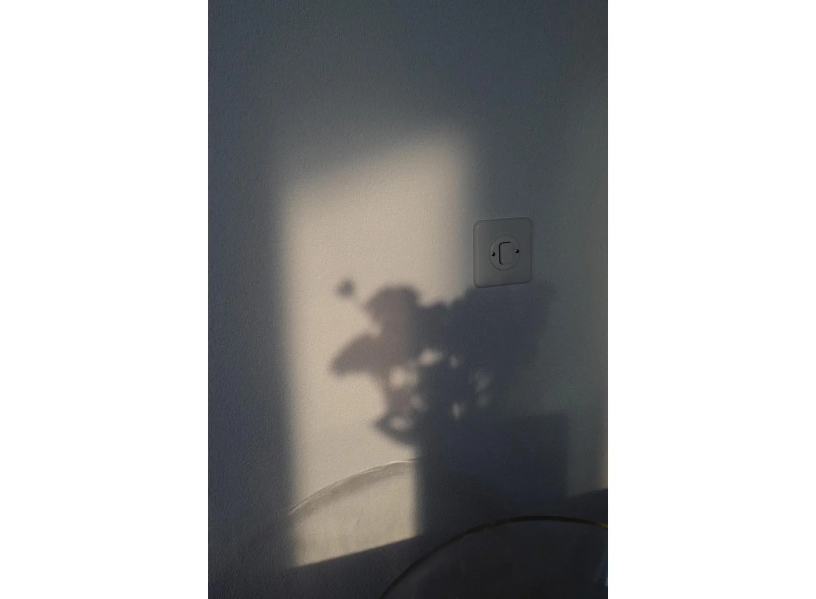 Sans titre-1.jpg